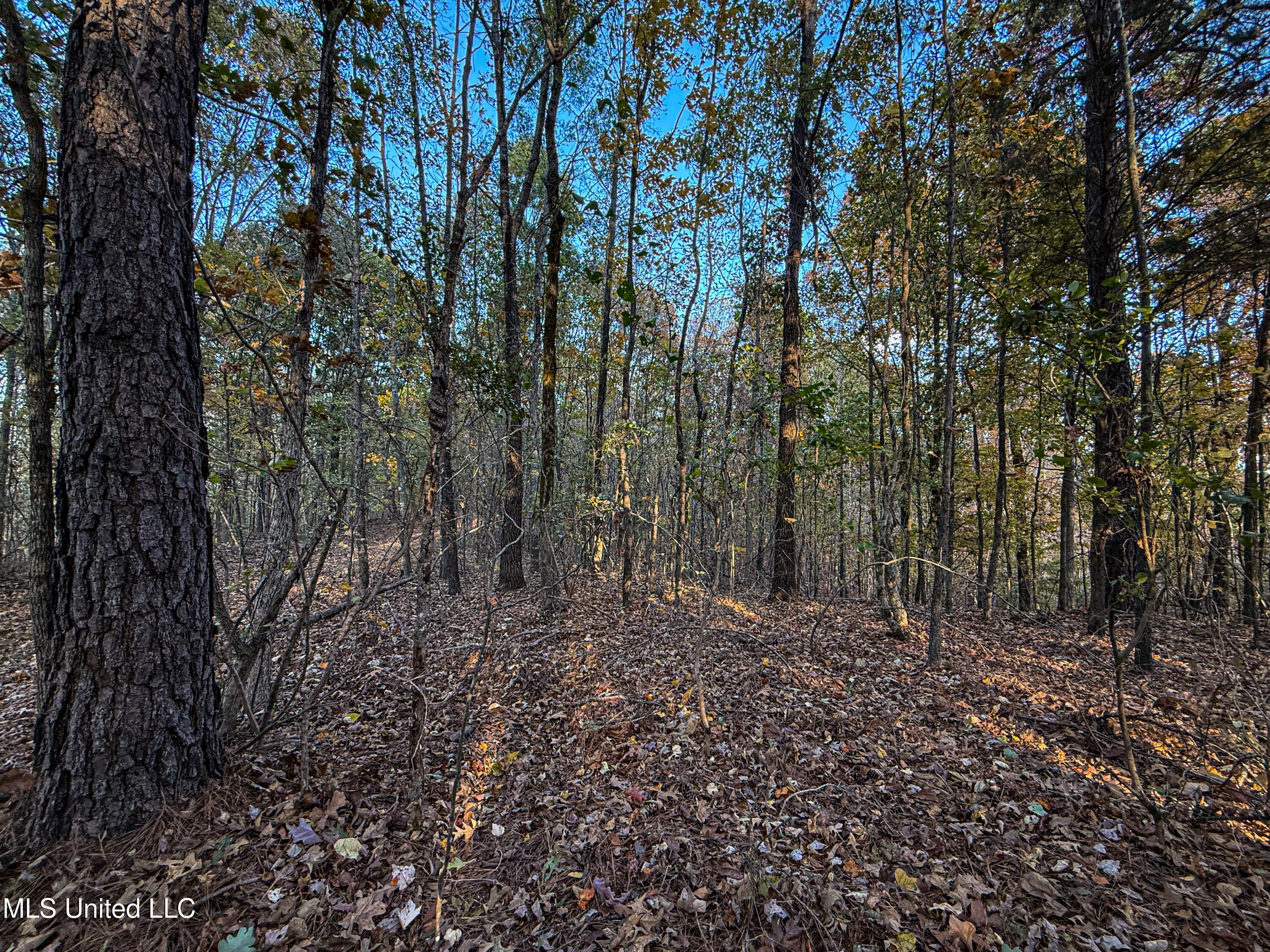 2075 County Rd 180 Property Photo 47