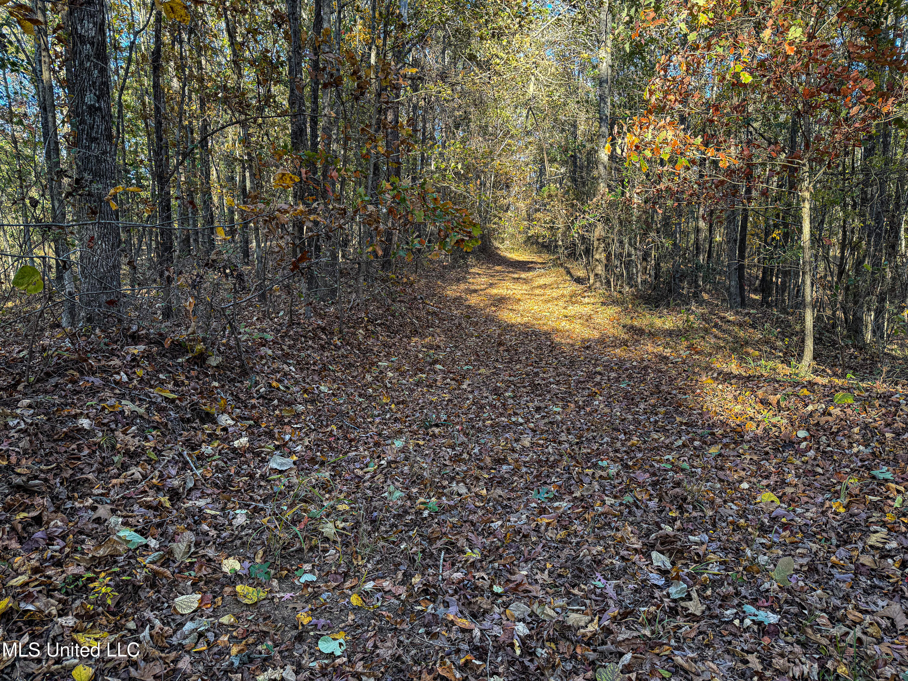 2075 County Rd 180 Property Photo 49