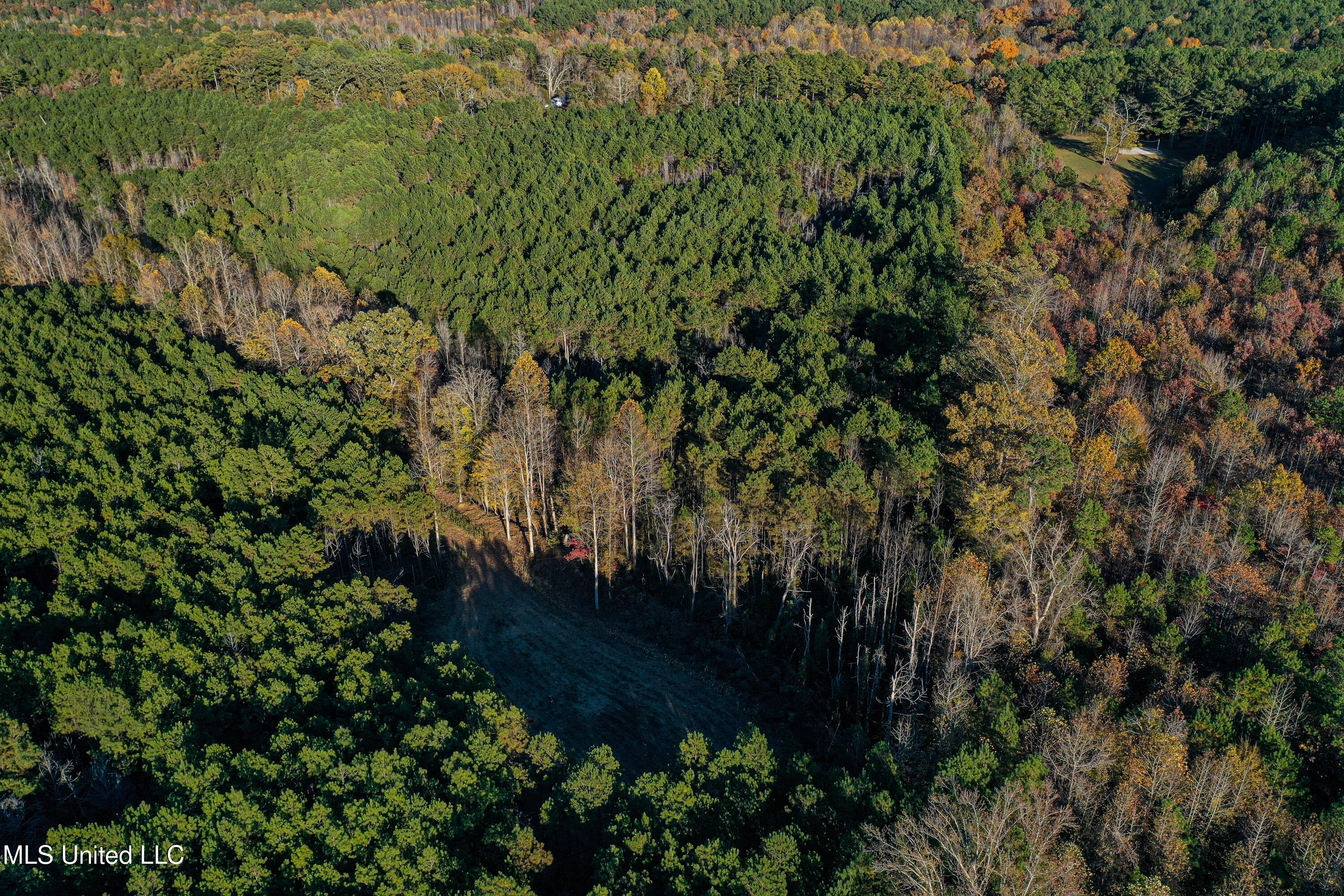 2075 County Rd 180 Property Photo 50