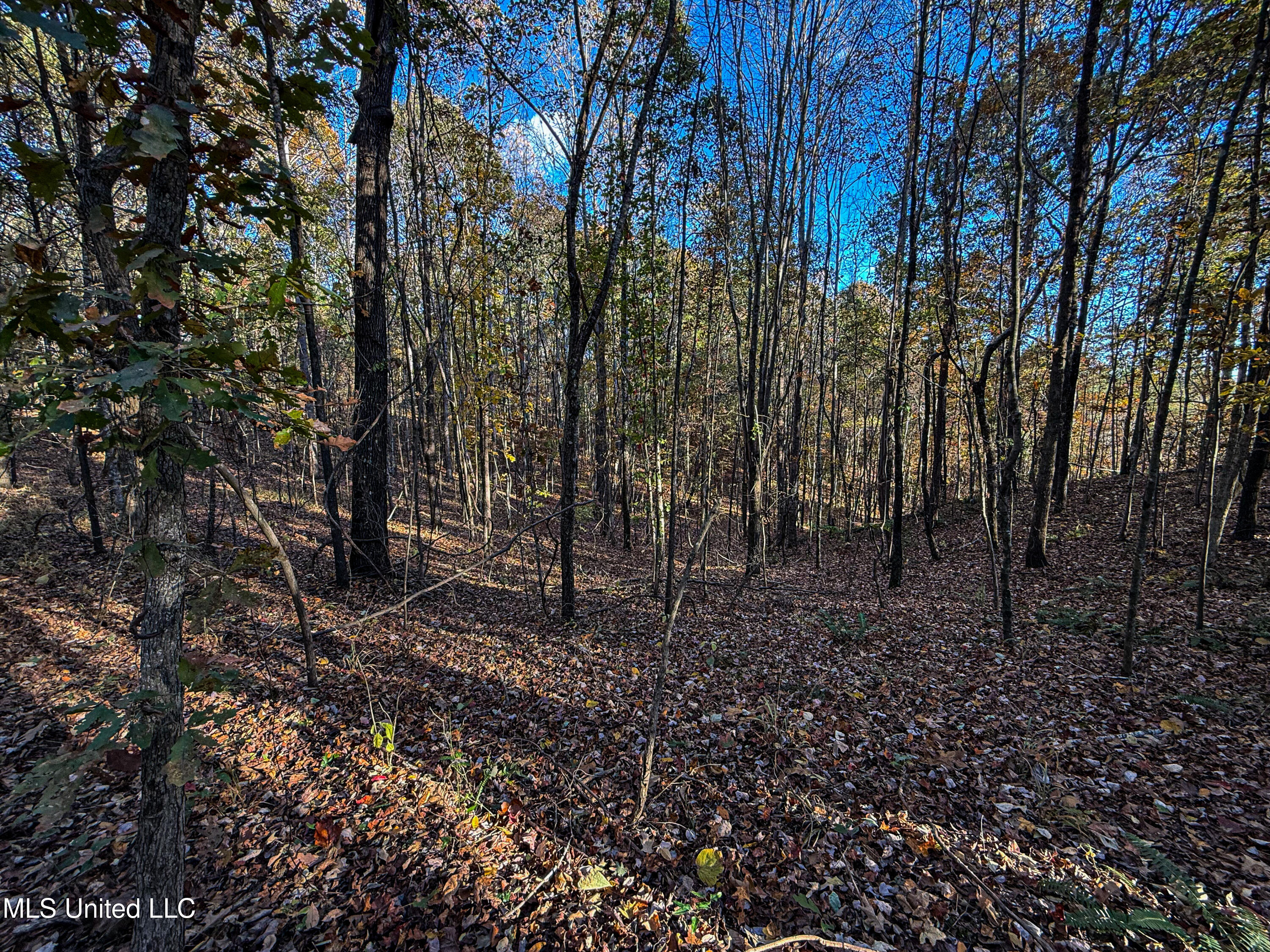 2075 County Rd 180 Property Photo 51