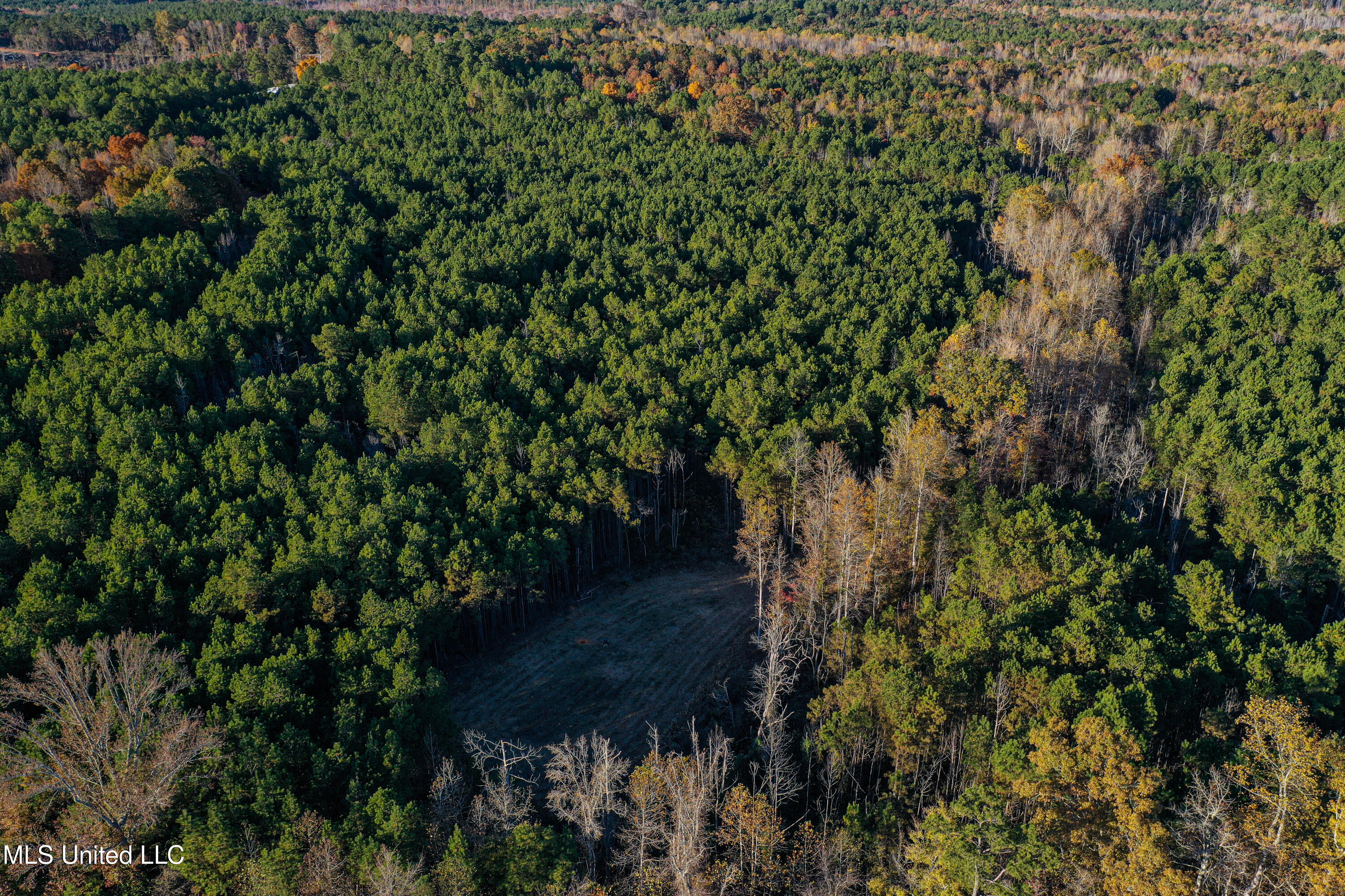 2075 County Rd 180 Property Photo 53