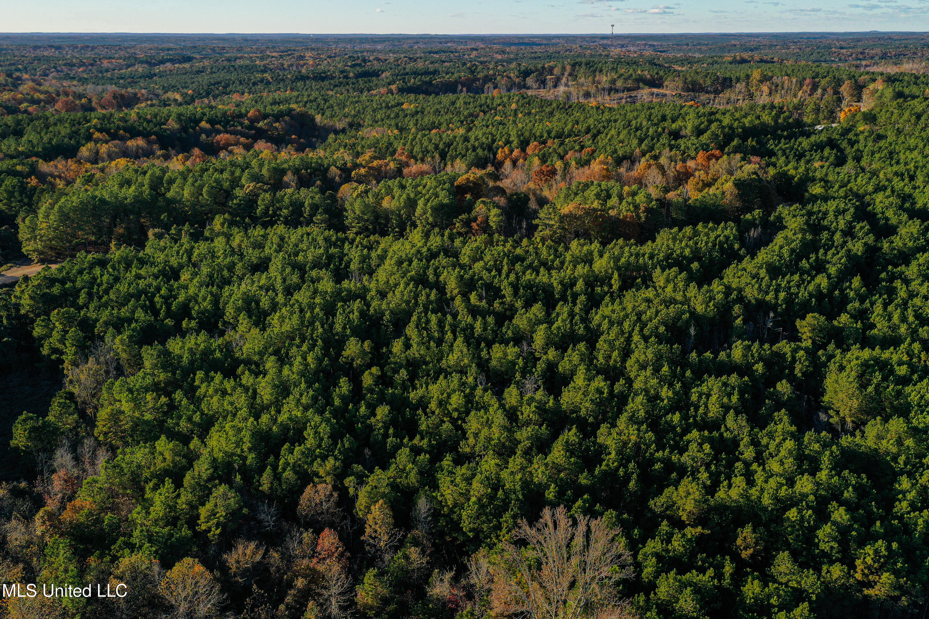 2075 County Rd 180 Property Photo 54