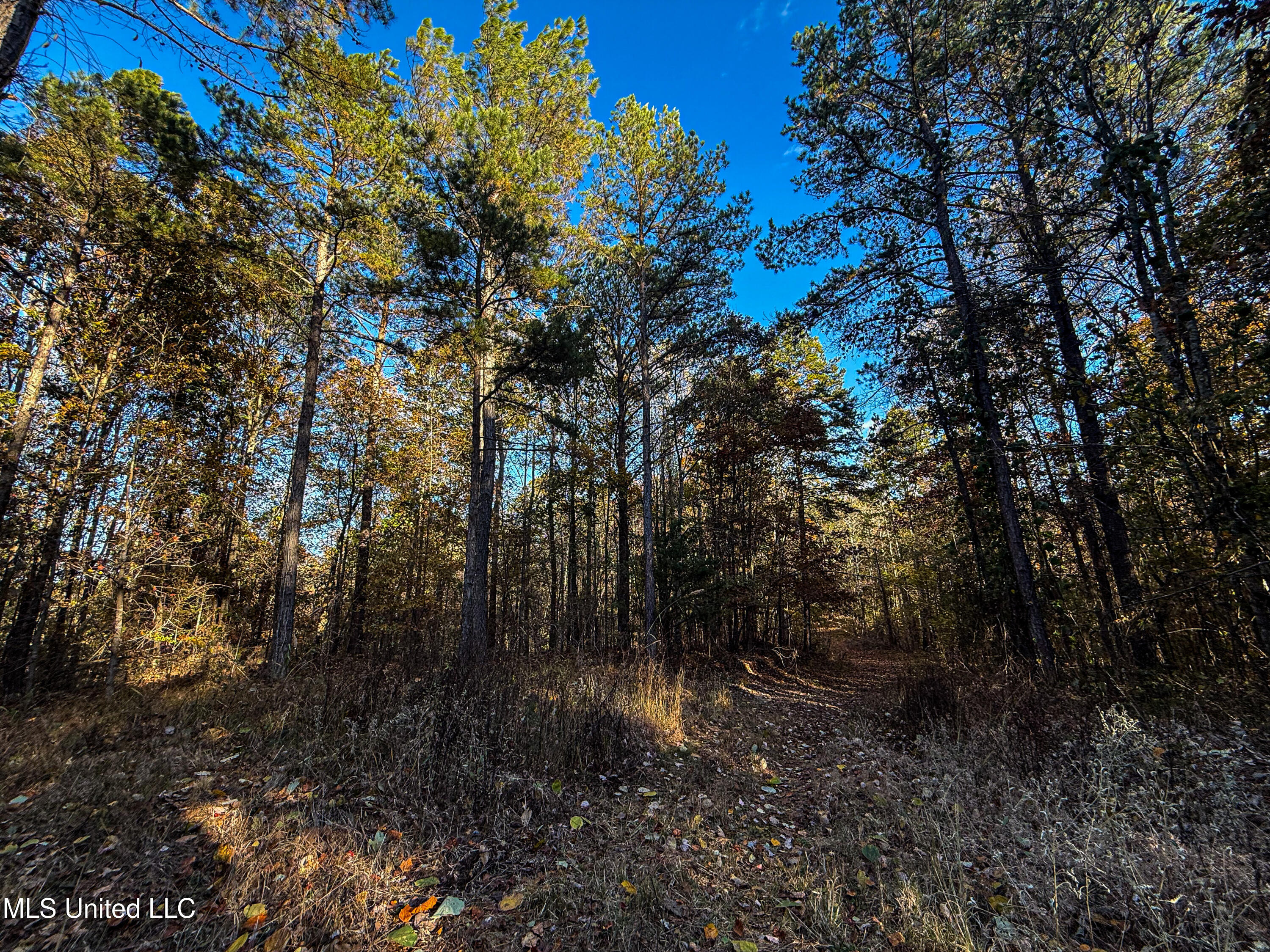 2075 County Rd 180 Property Photo 59