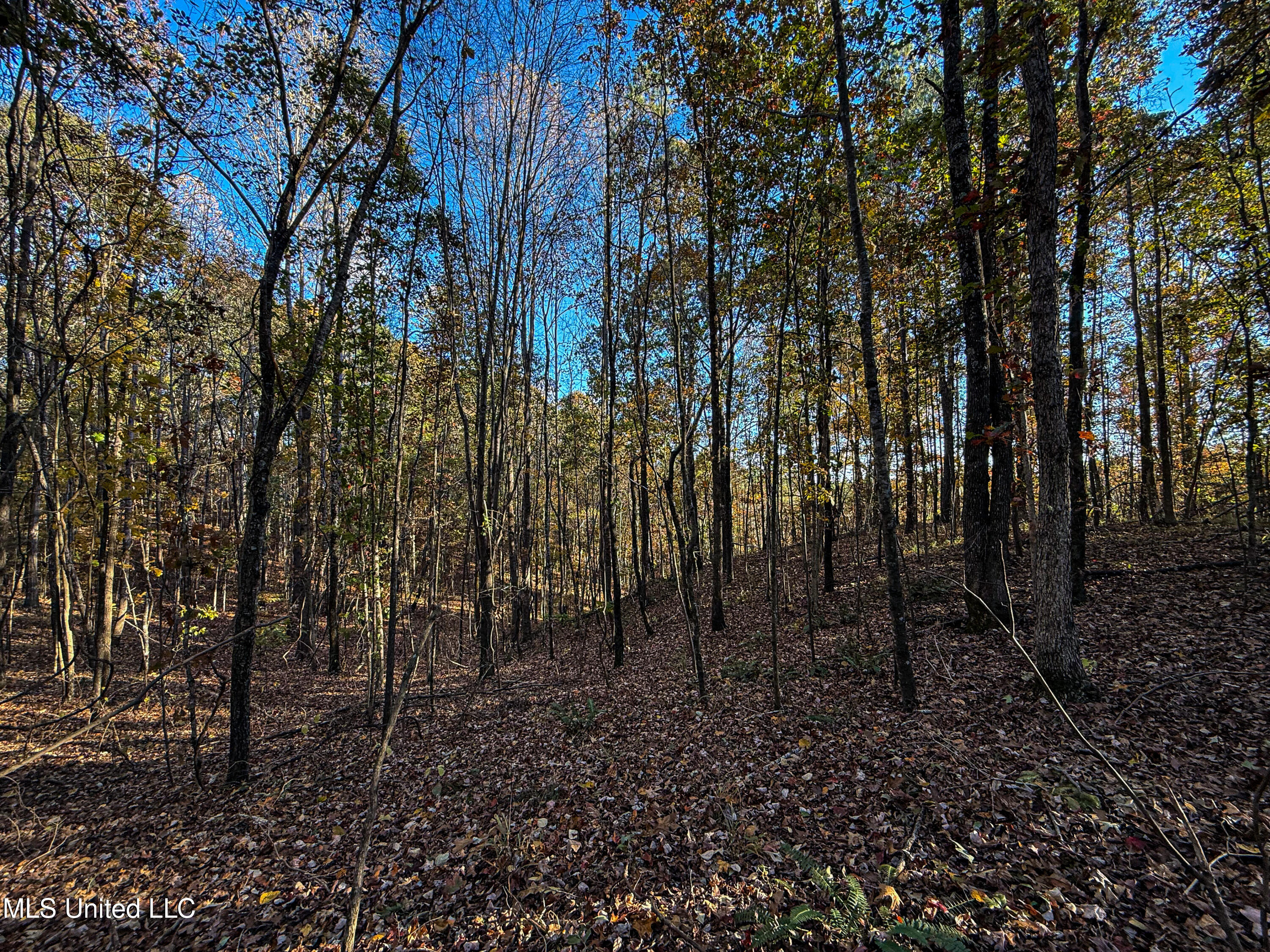 2075 County Rd 180 Property Photo 63