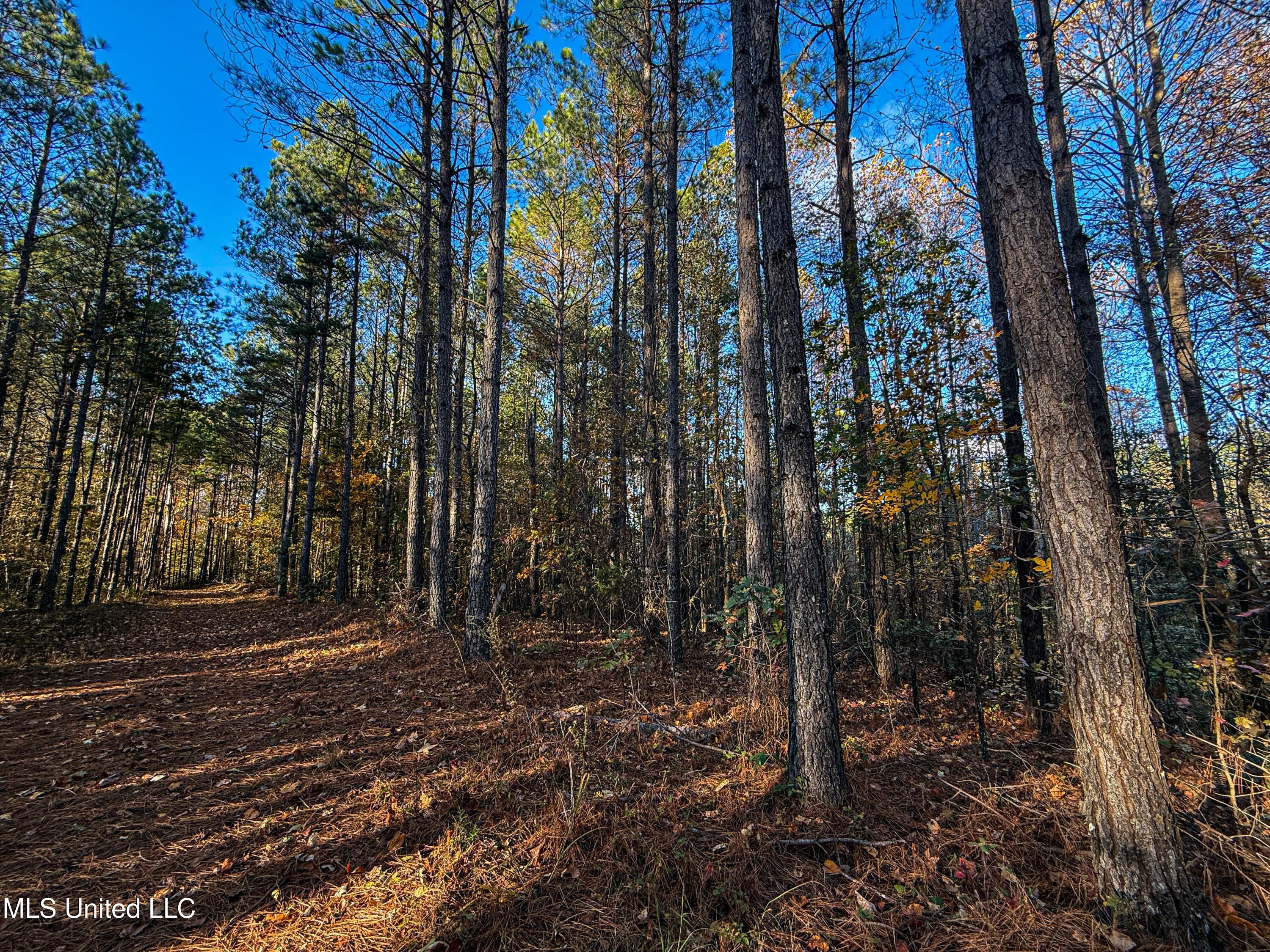 2075 County Rd 180 Property Photo 77
