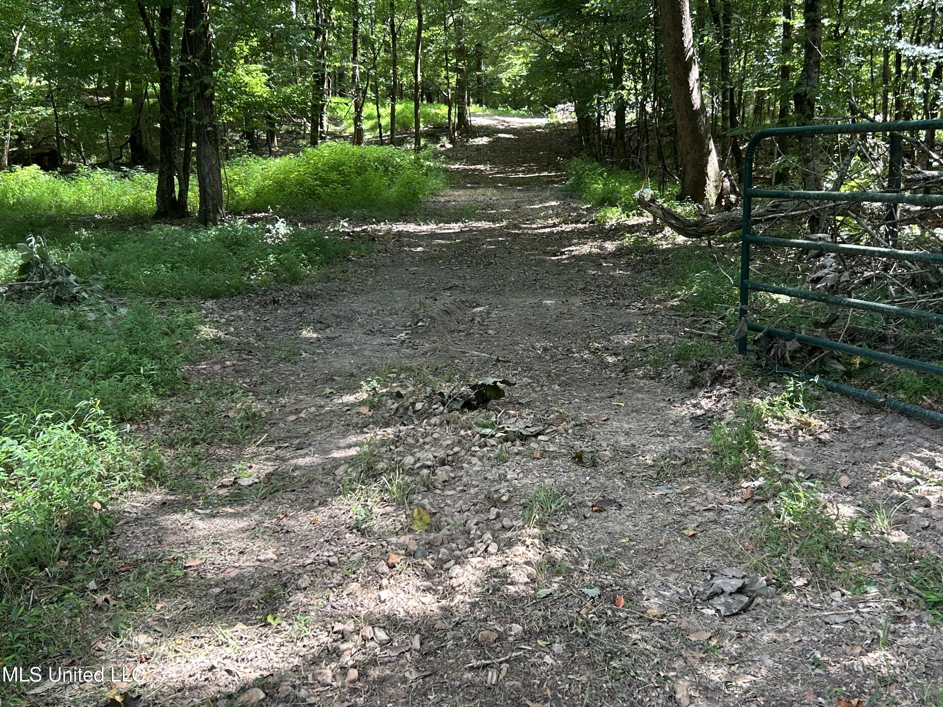 001 Farr Road Property Photo 29