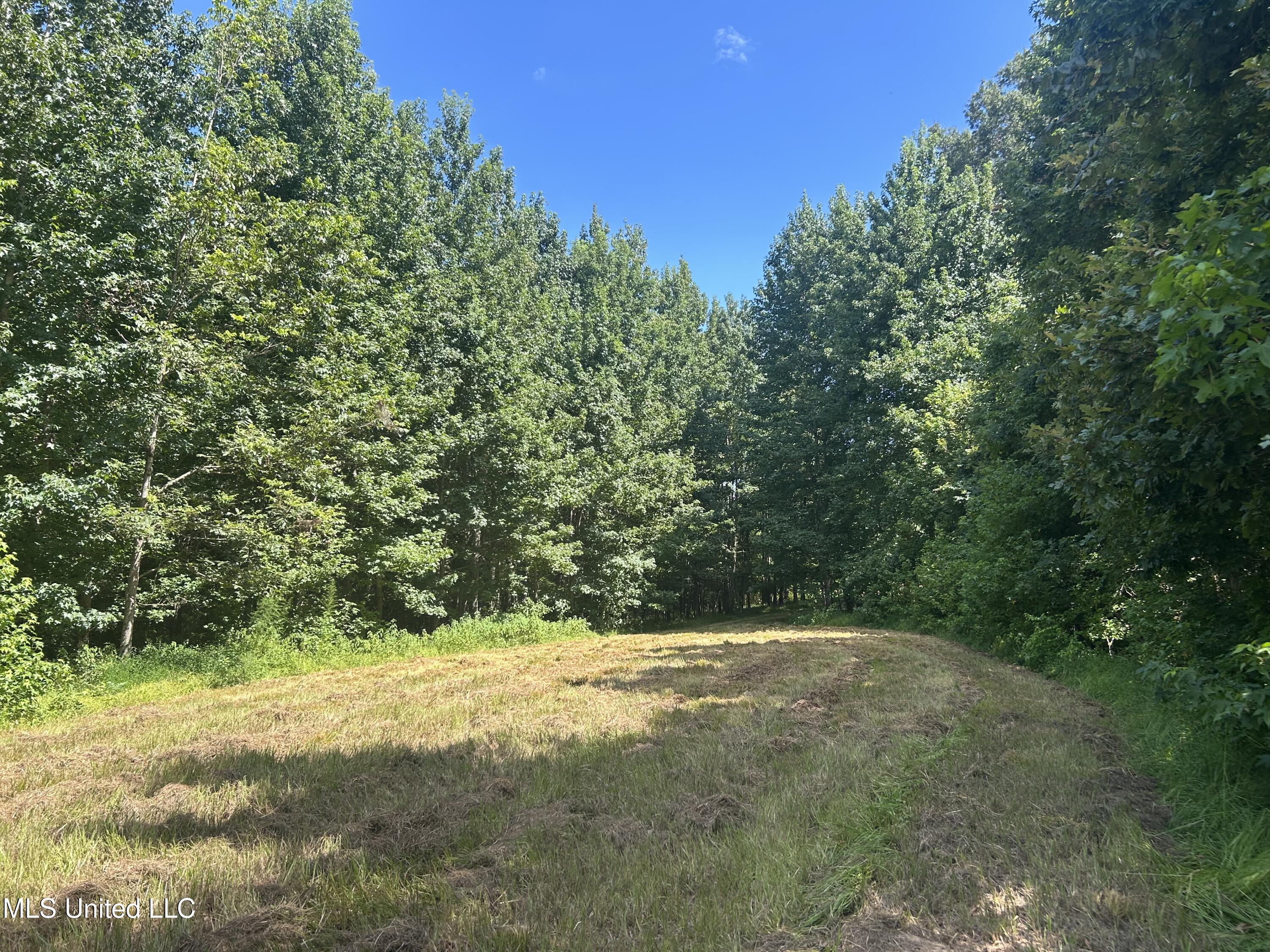 001 Farr Road Property Photo 38