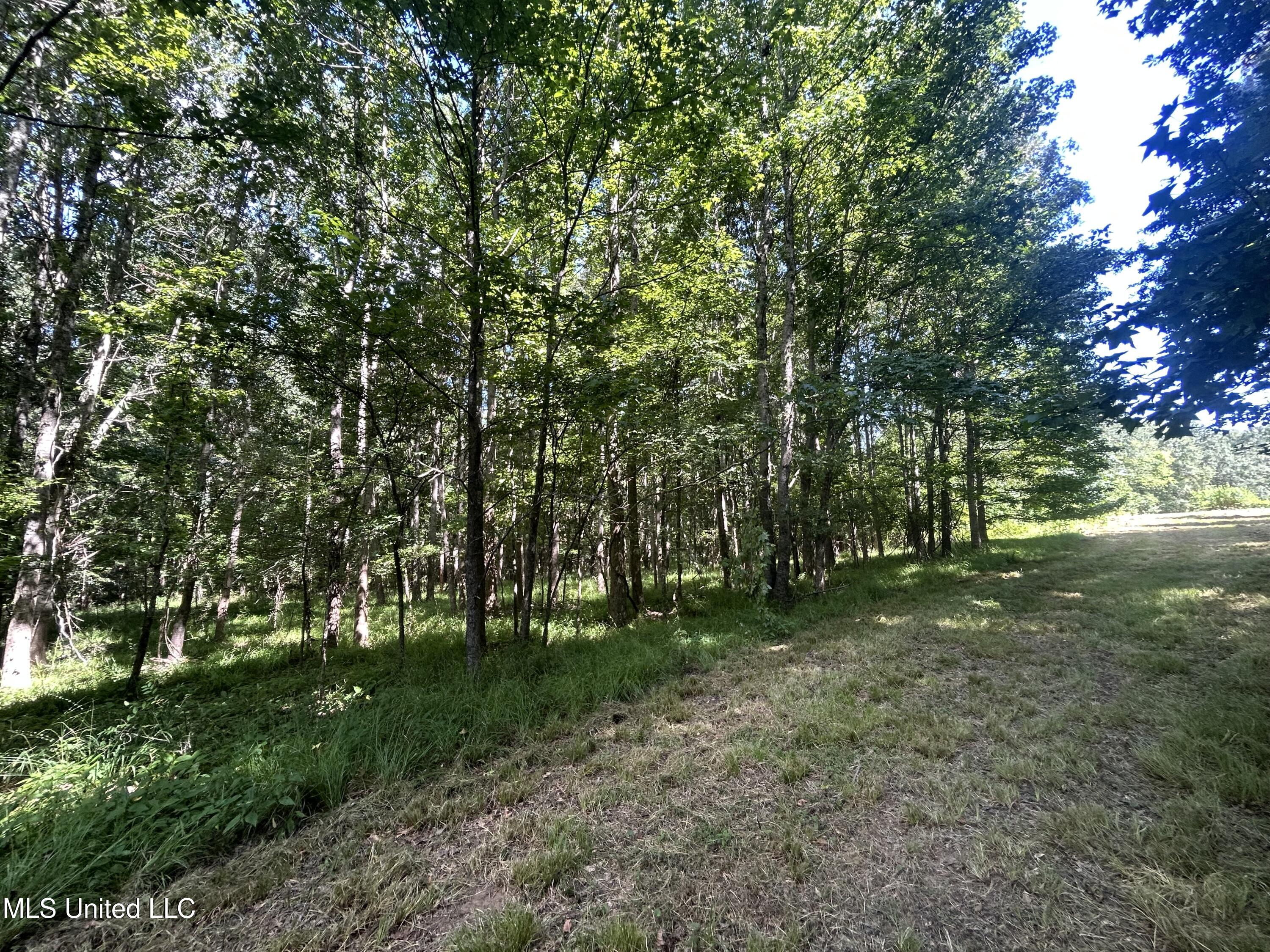001 Farr Road Property Photo 39