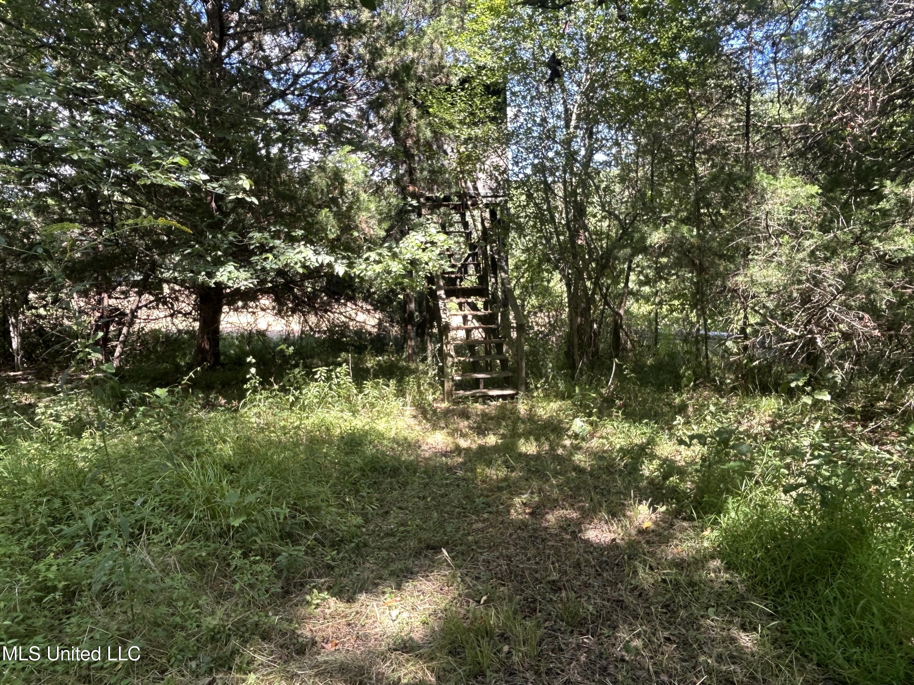 001 Farr Road Property Photo 42