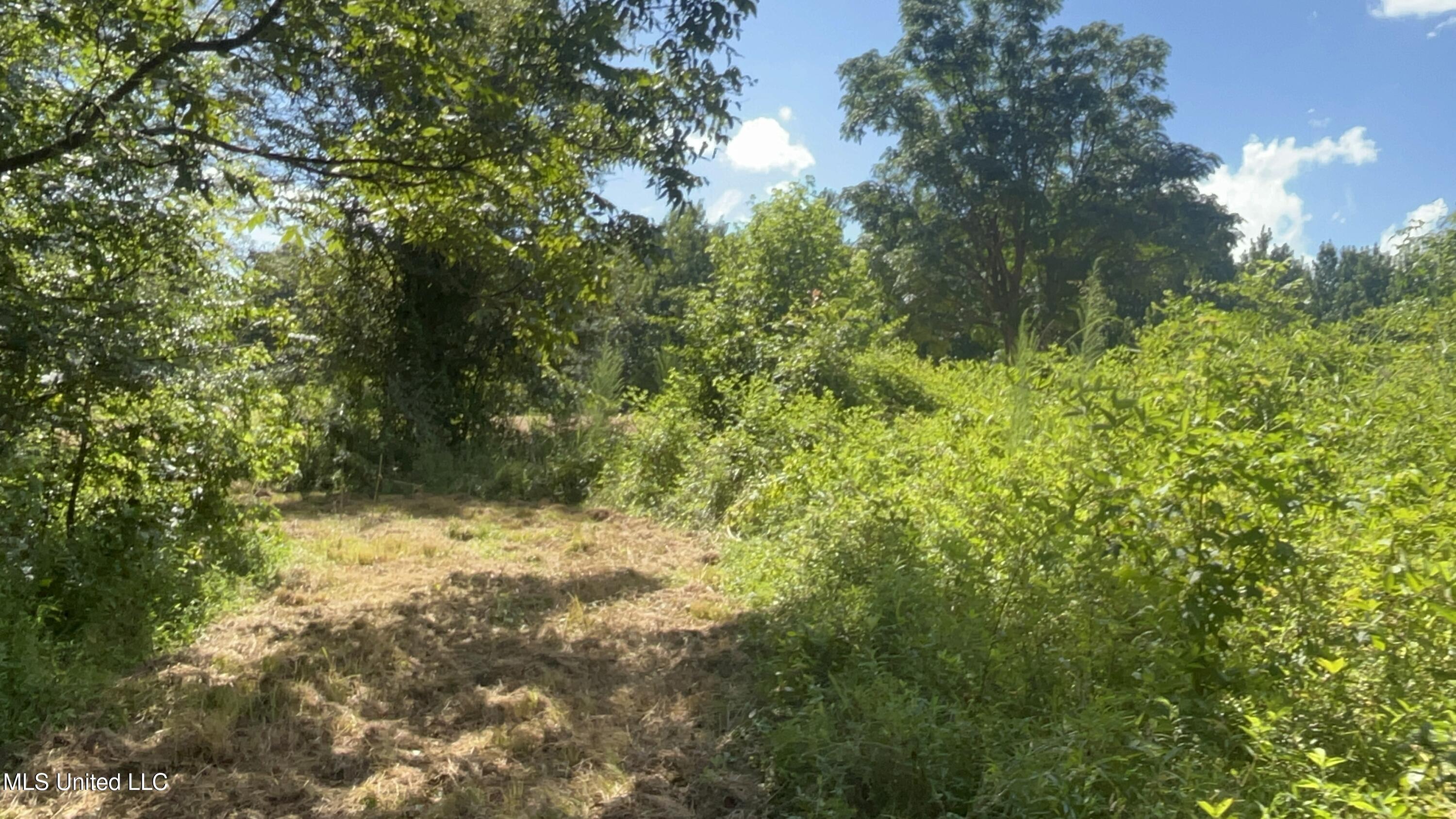 001 Farr Road Property Photo 56