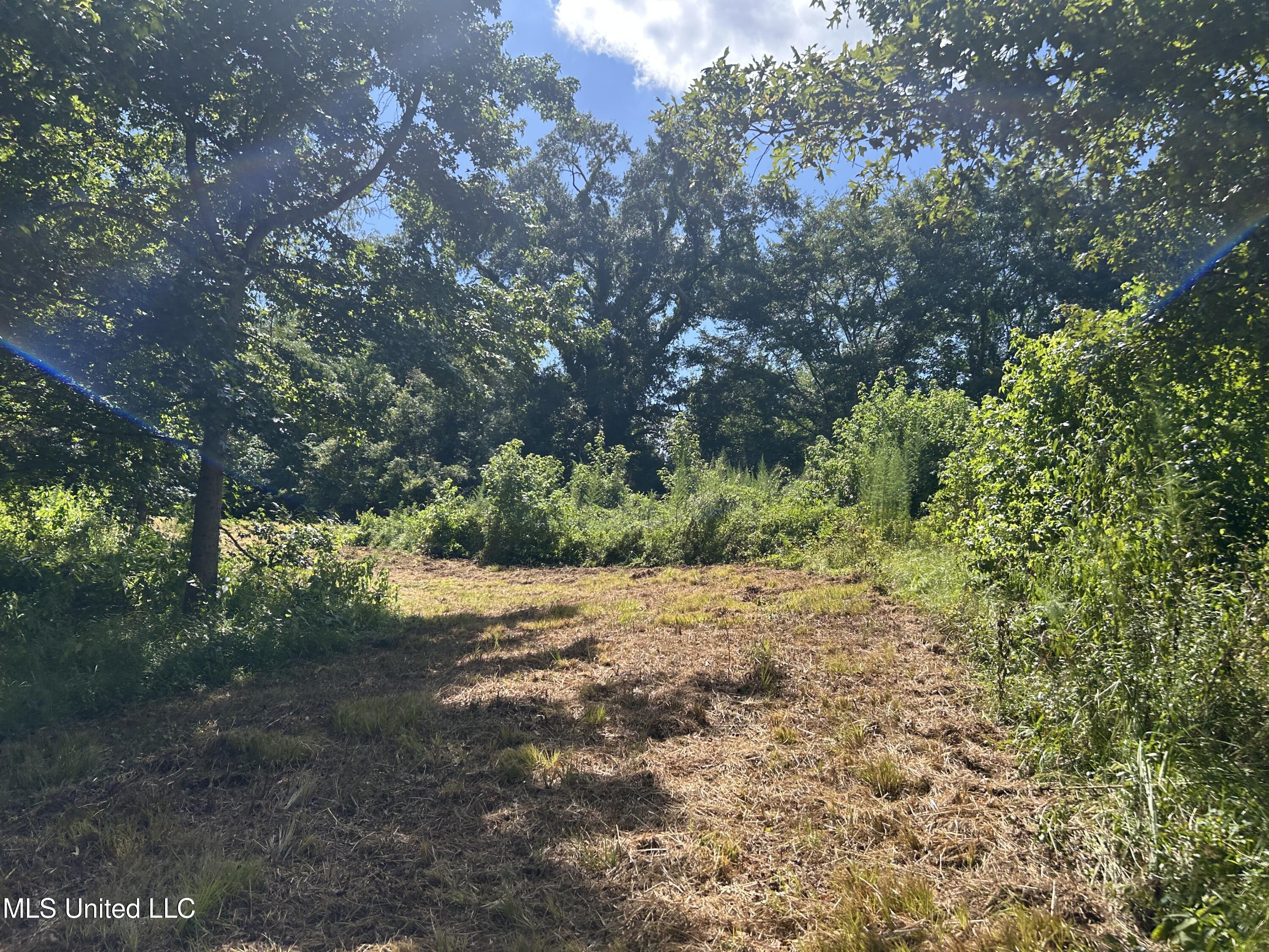 001 Farr Road Property Photo 66