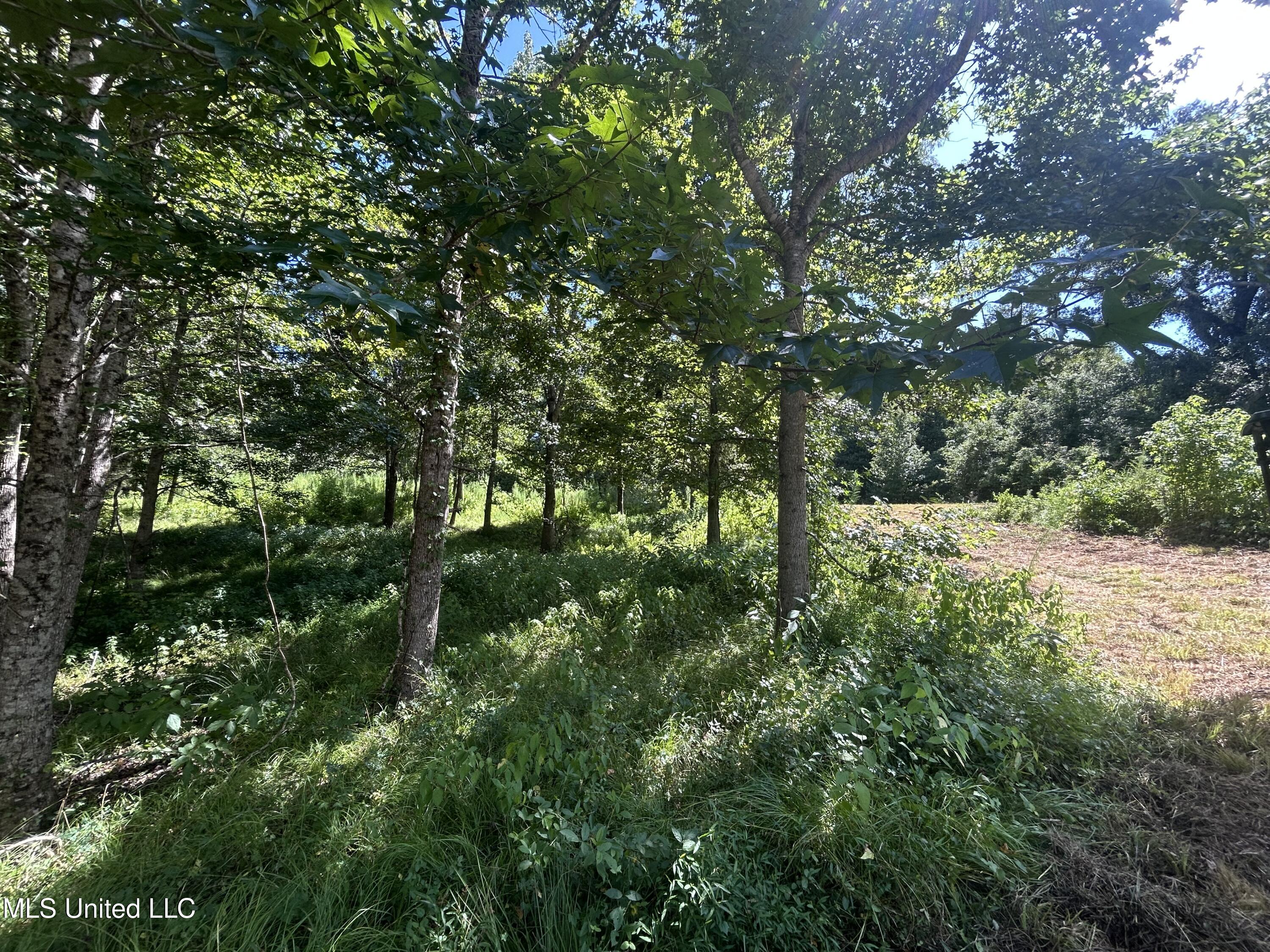 001 Farr Road Property Photo 67