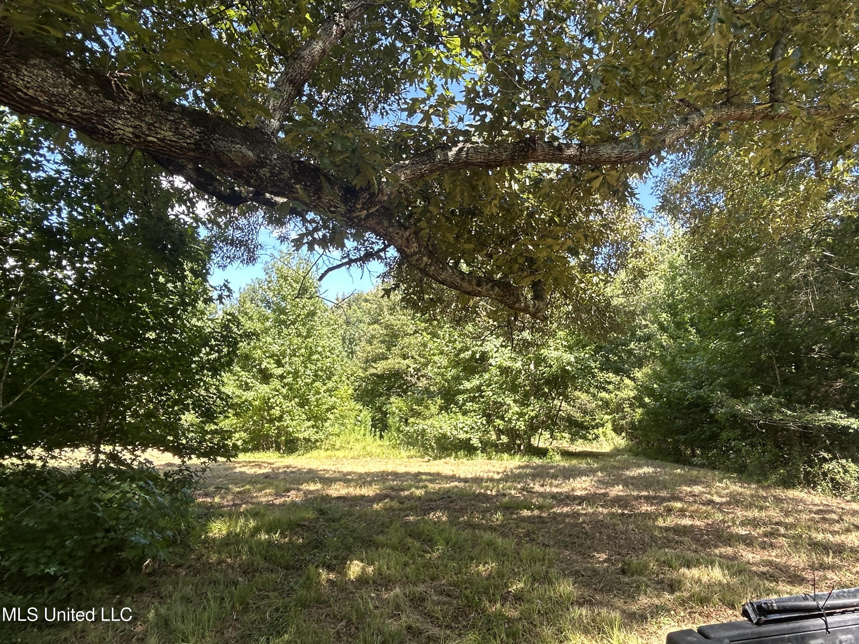 001 Farr Road Property Photo 71