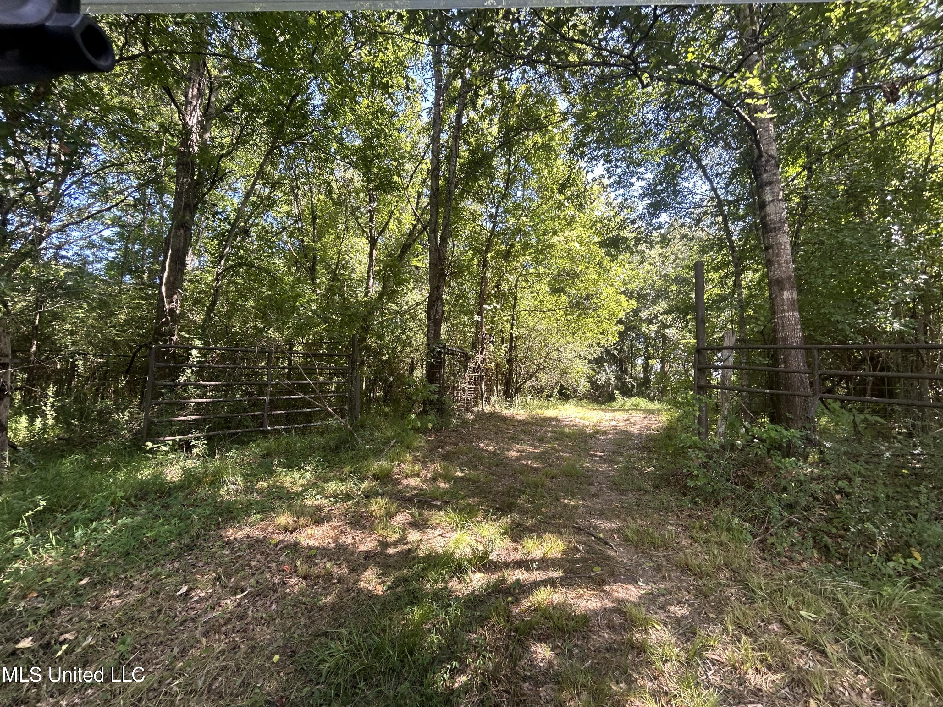 001 Farr Road Property Photo 72