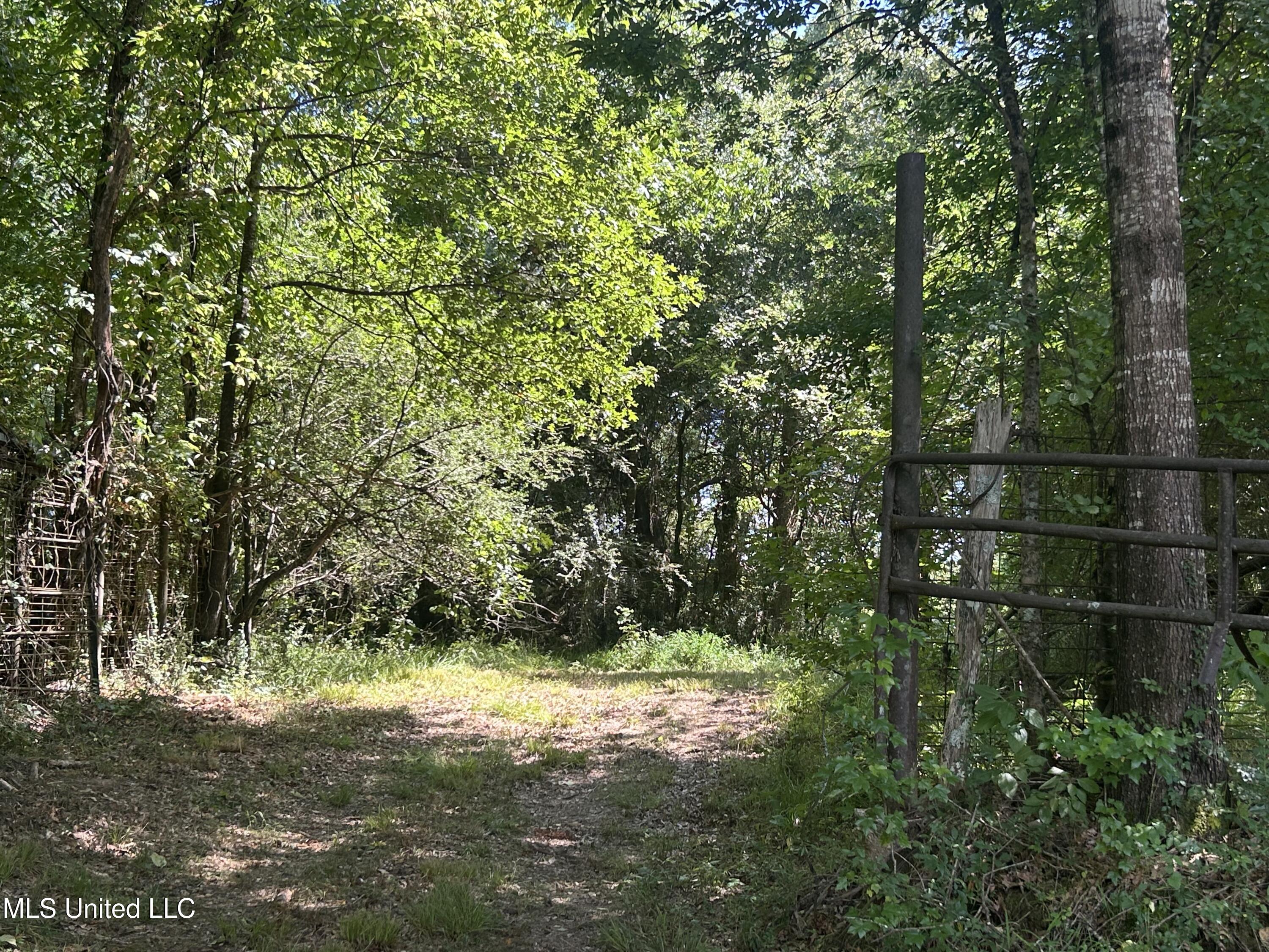 001 Farr Road Property Photo 73