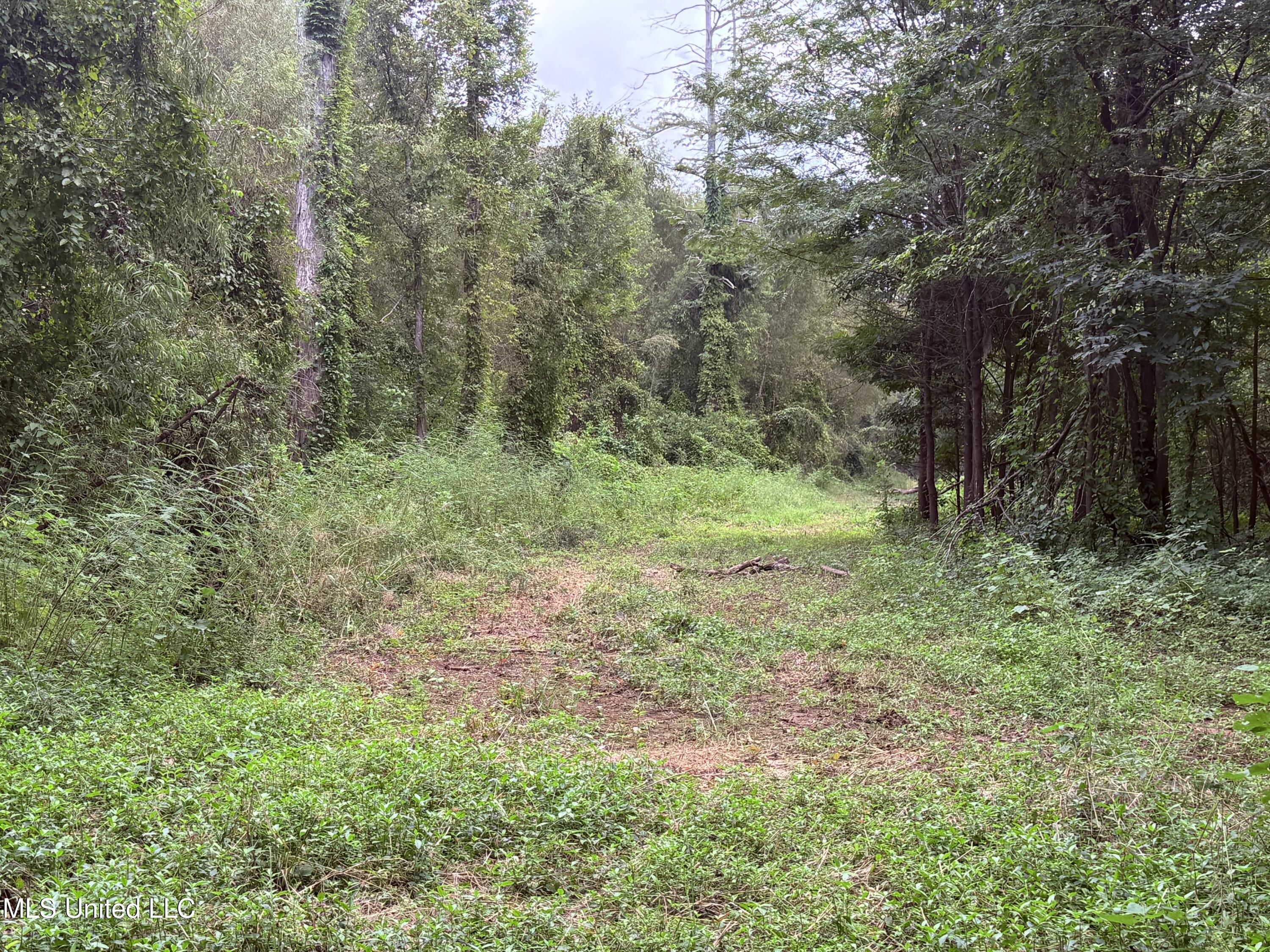 Bourke Road Property Photo 2