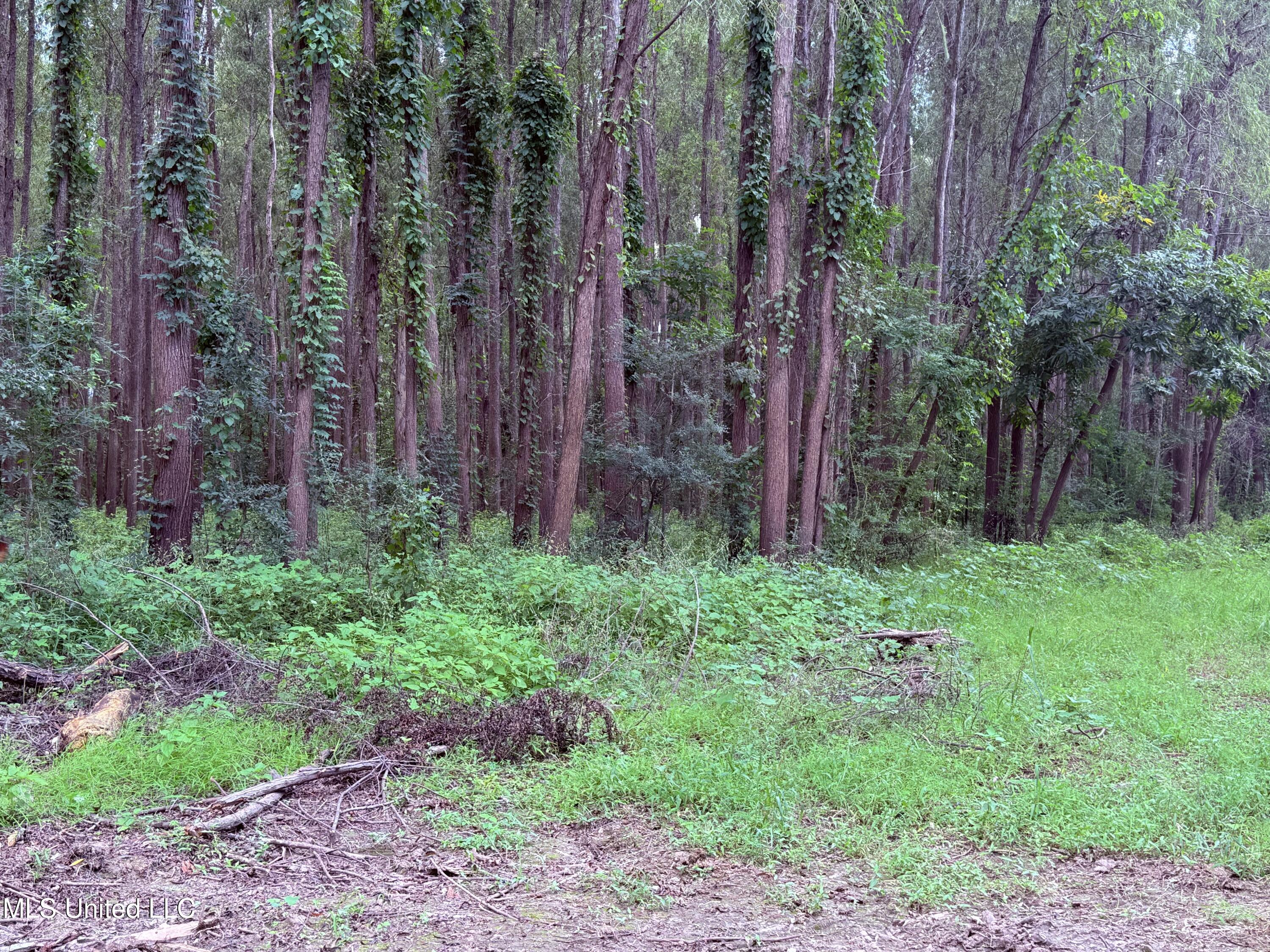 Bourke Road Property Photo 5