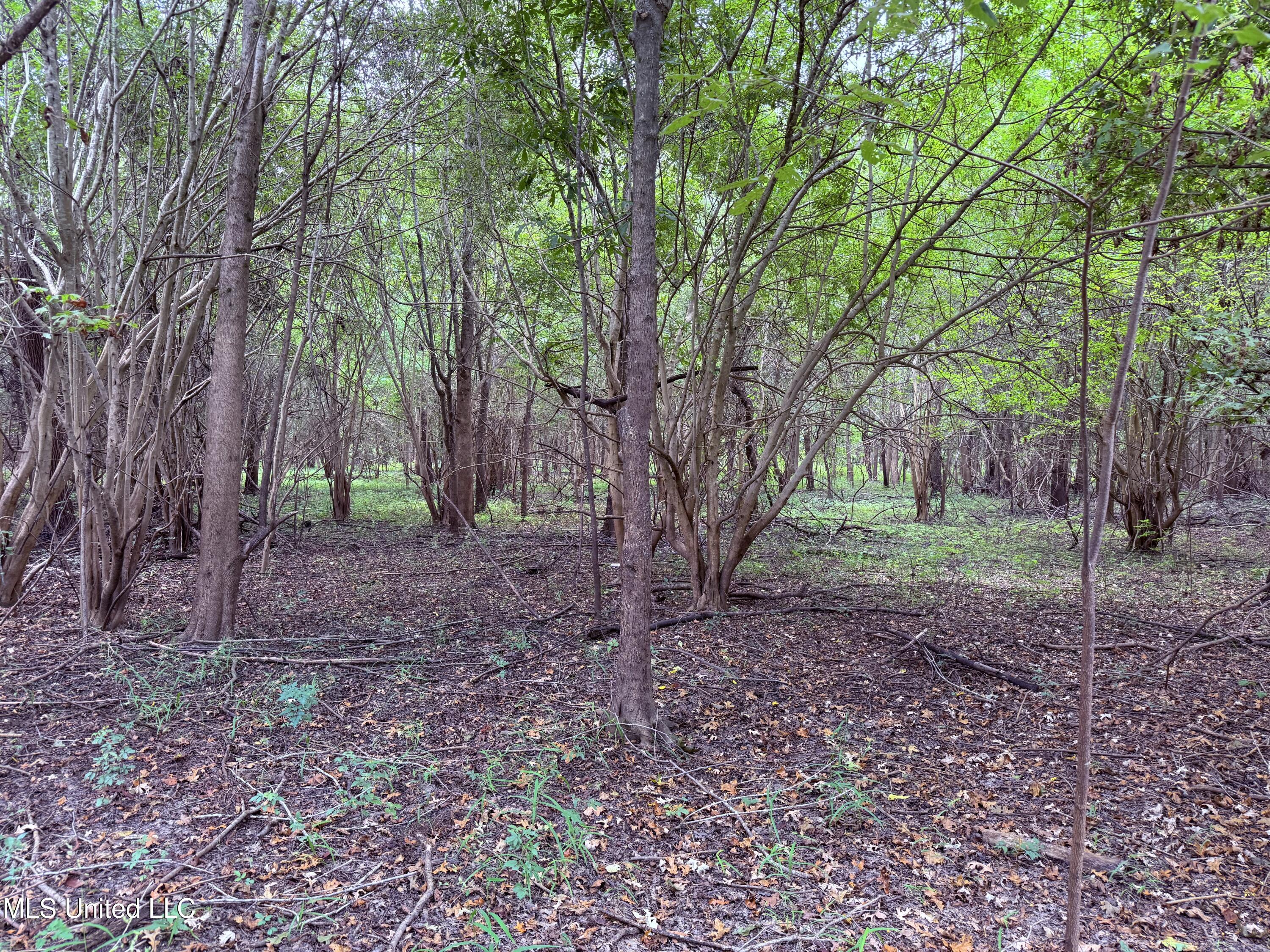 Bourke Road Property Photo 7