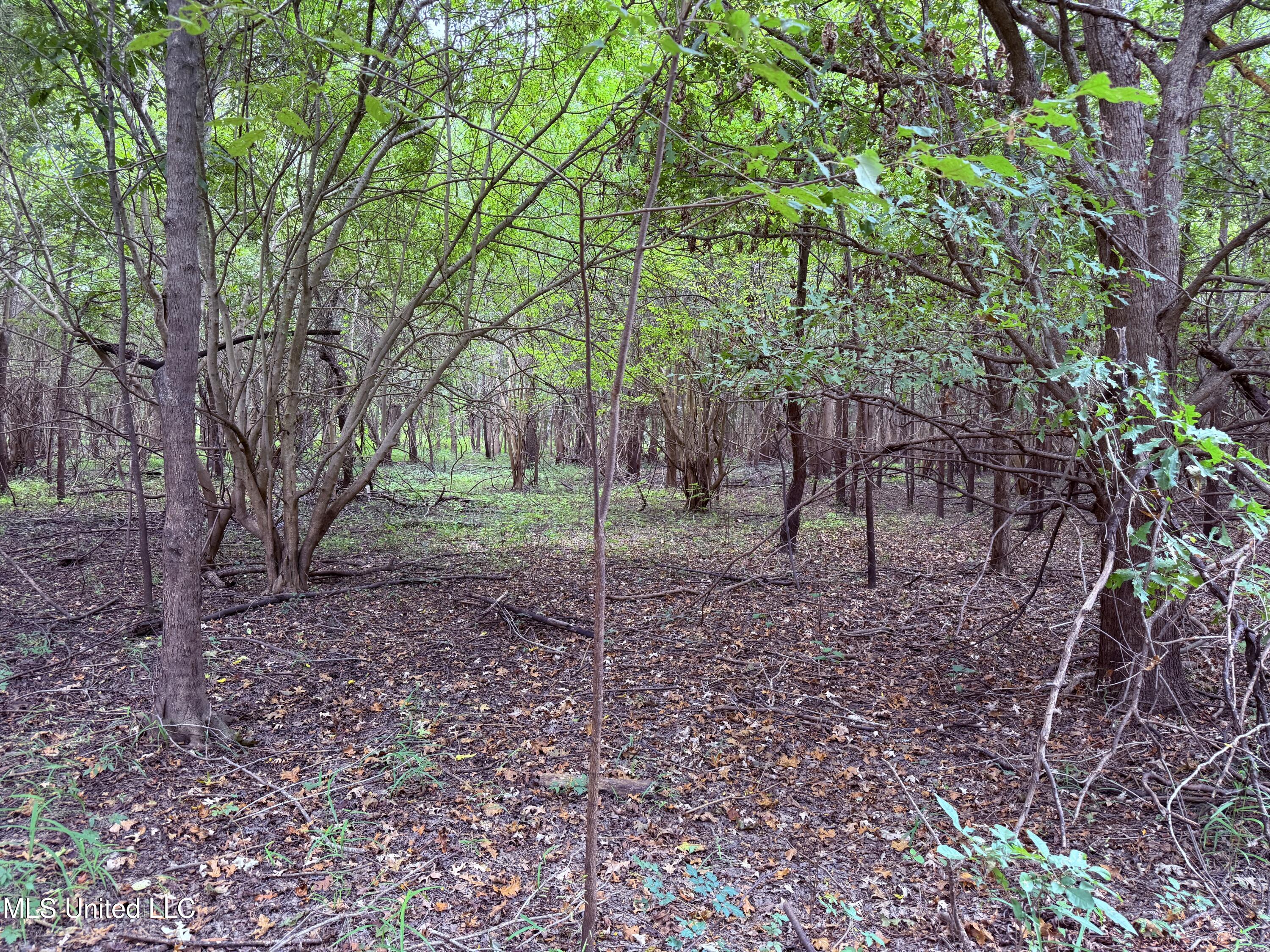 Bourke Road Property Photo 8