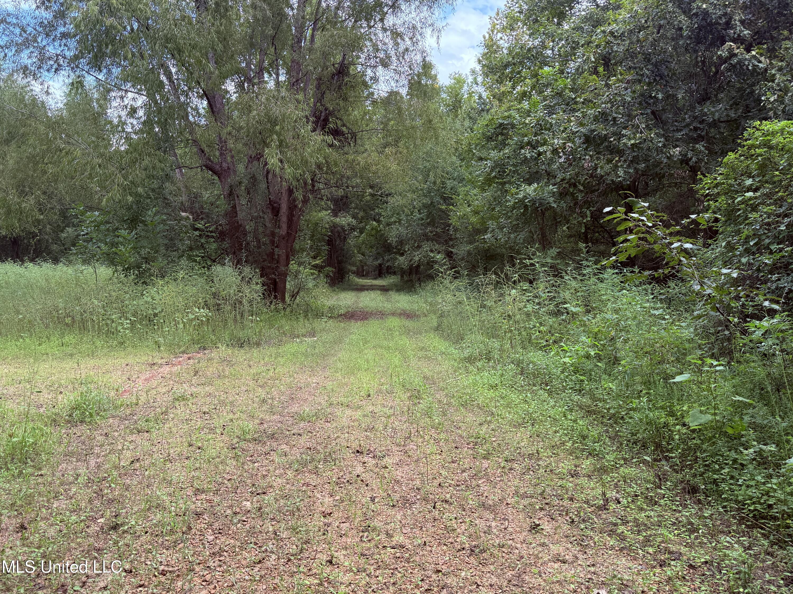 Bourke Road Property Photo 9