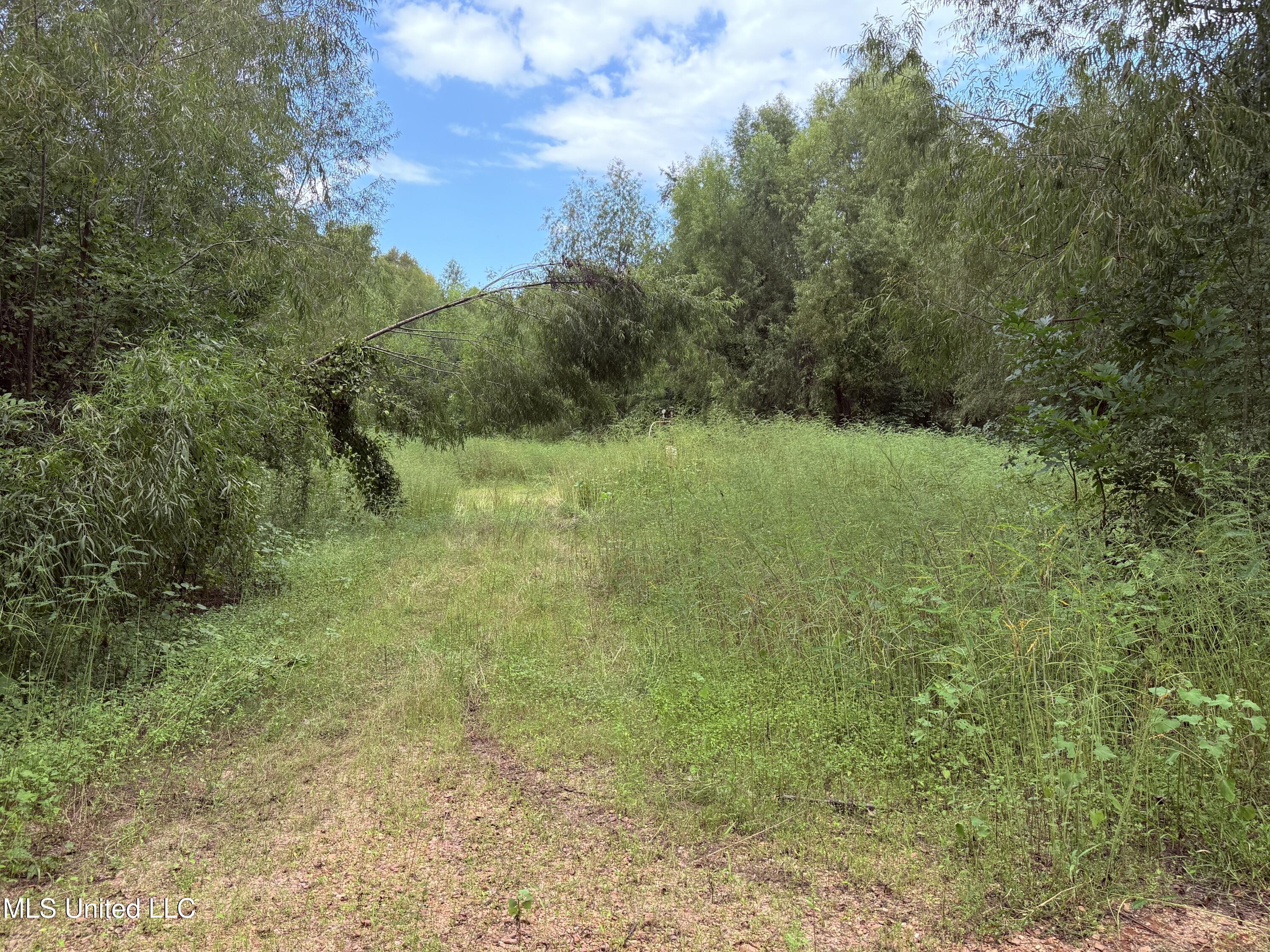 Bourke Road Property Photo 10