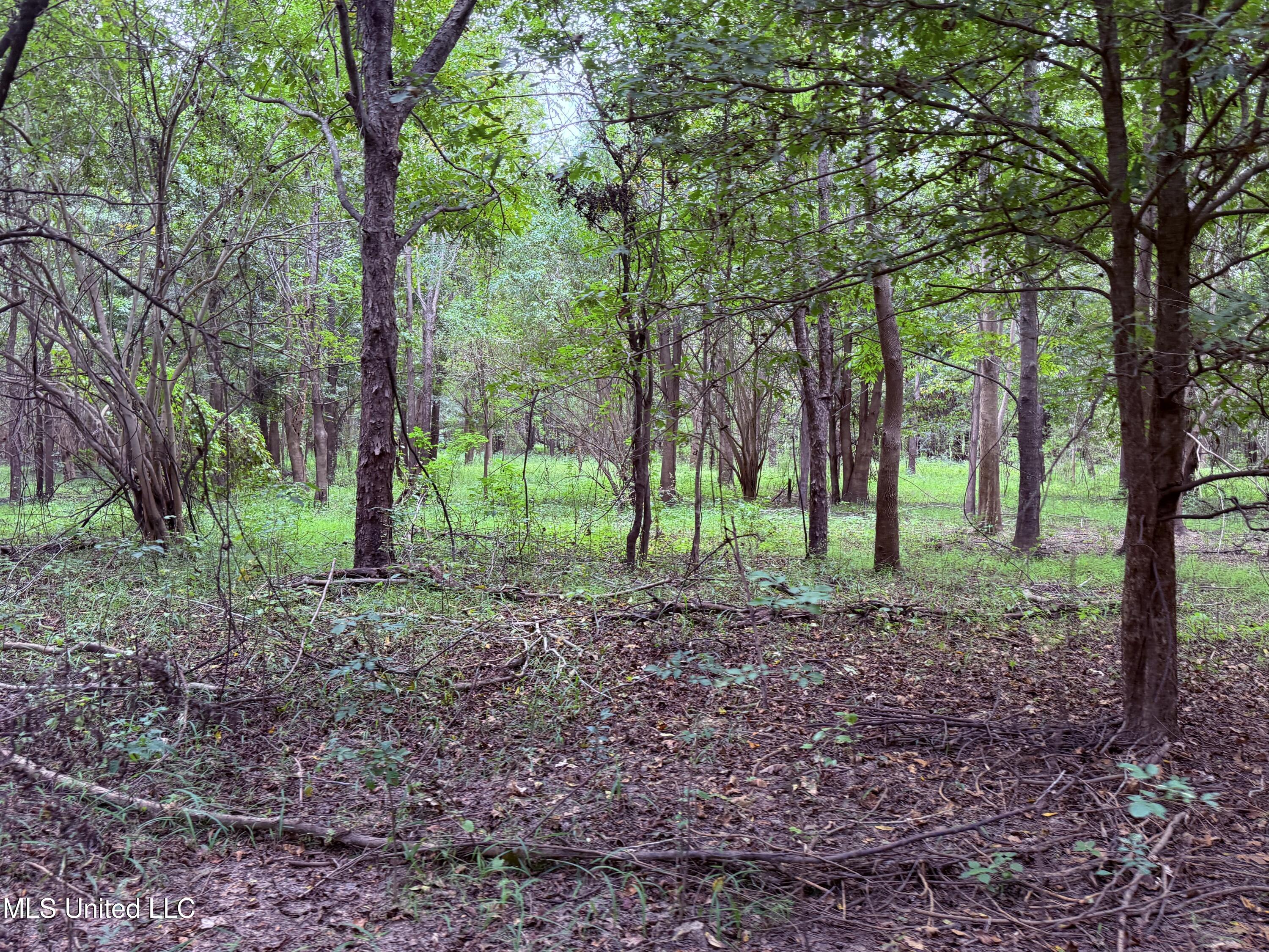 Bourke Road Property Photo 11