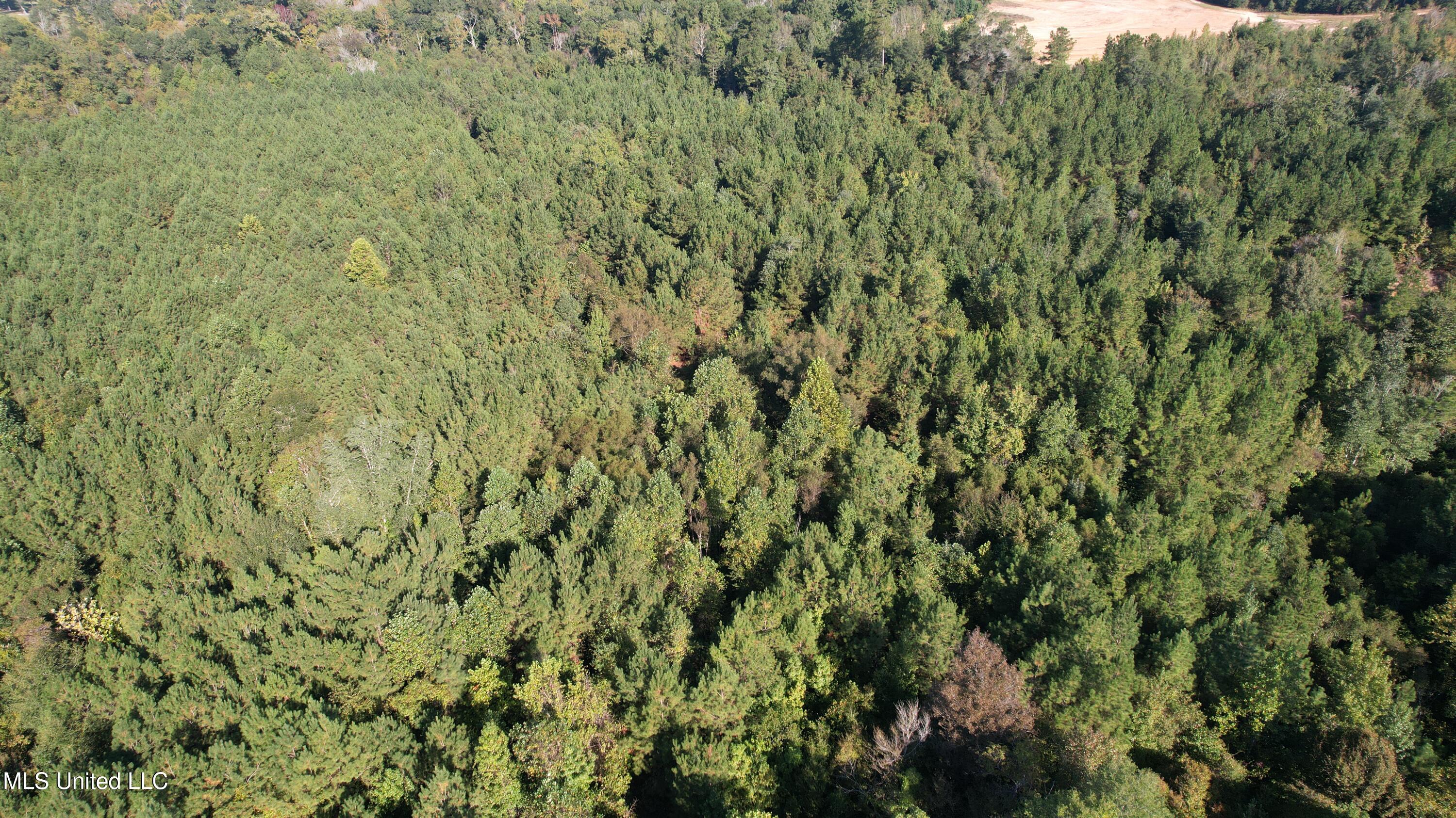 Bourke Road Property Photo 14