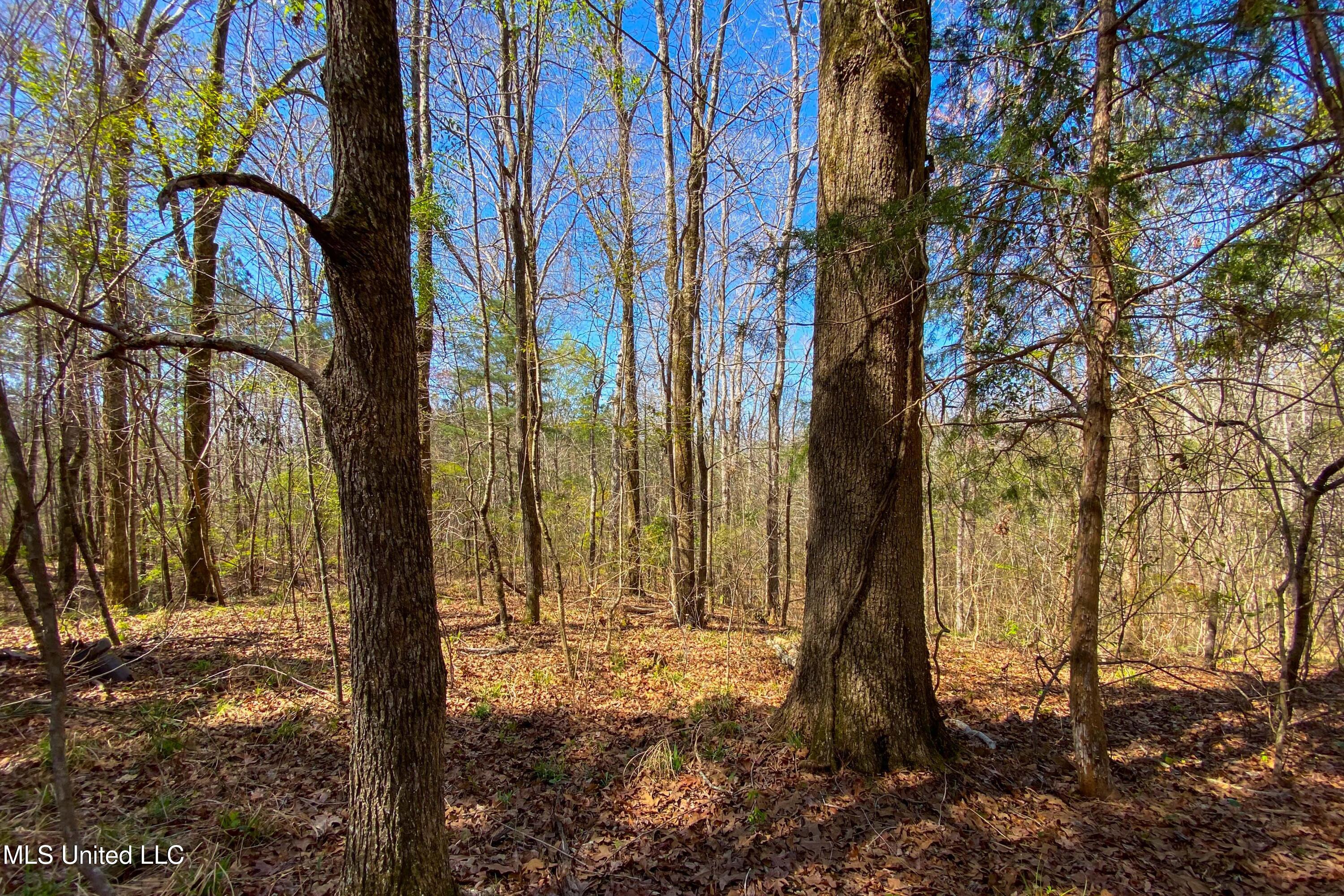 481 Ward Road Property Photo 1