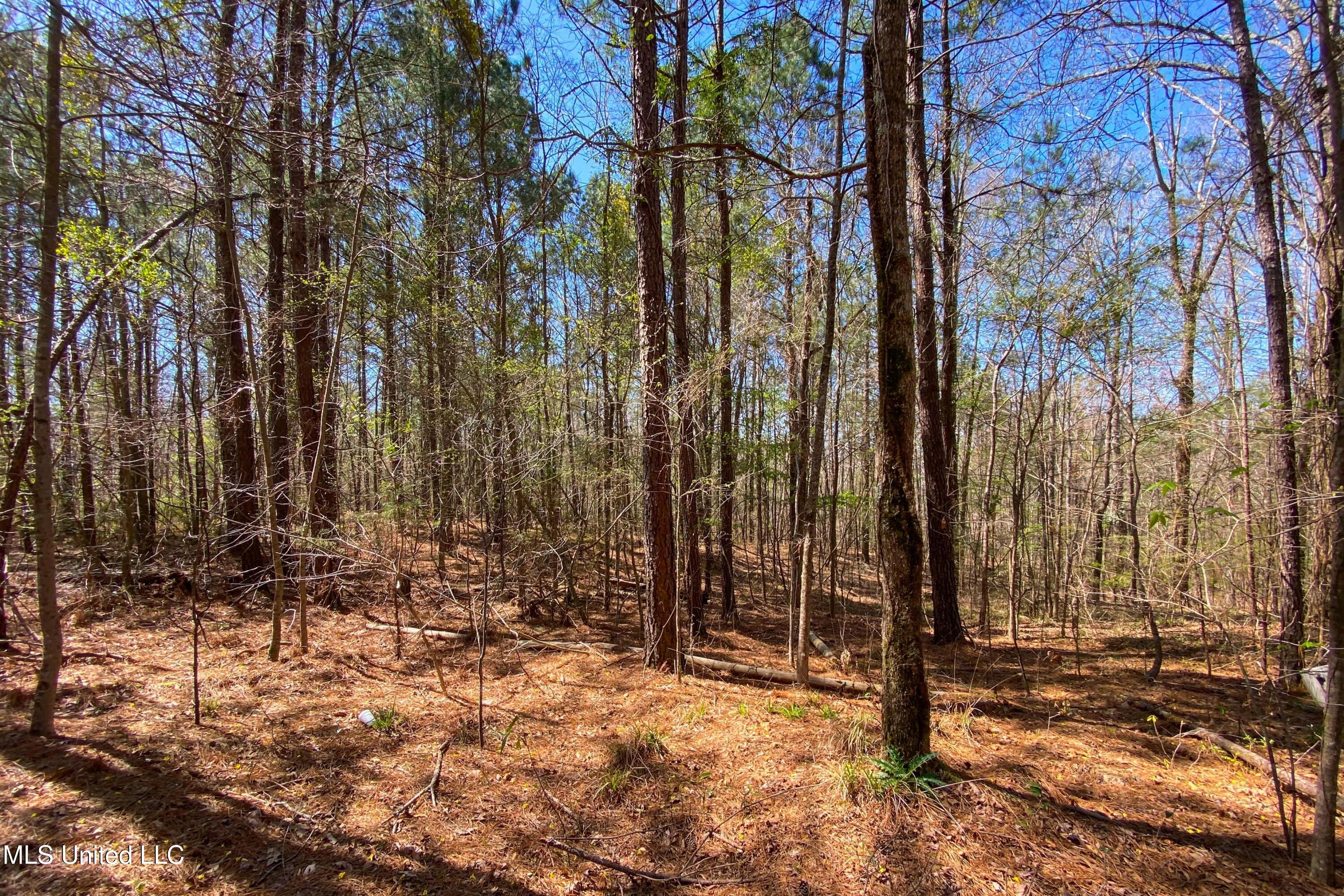 481 Ward Road Property Photo 17