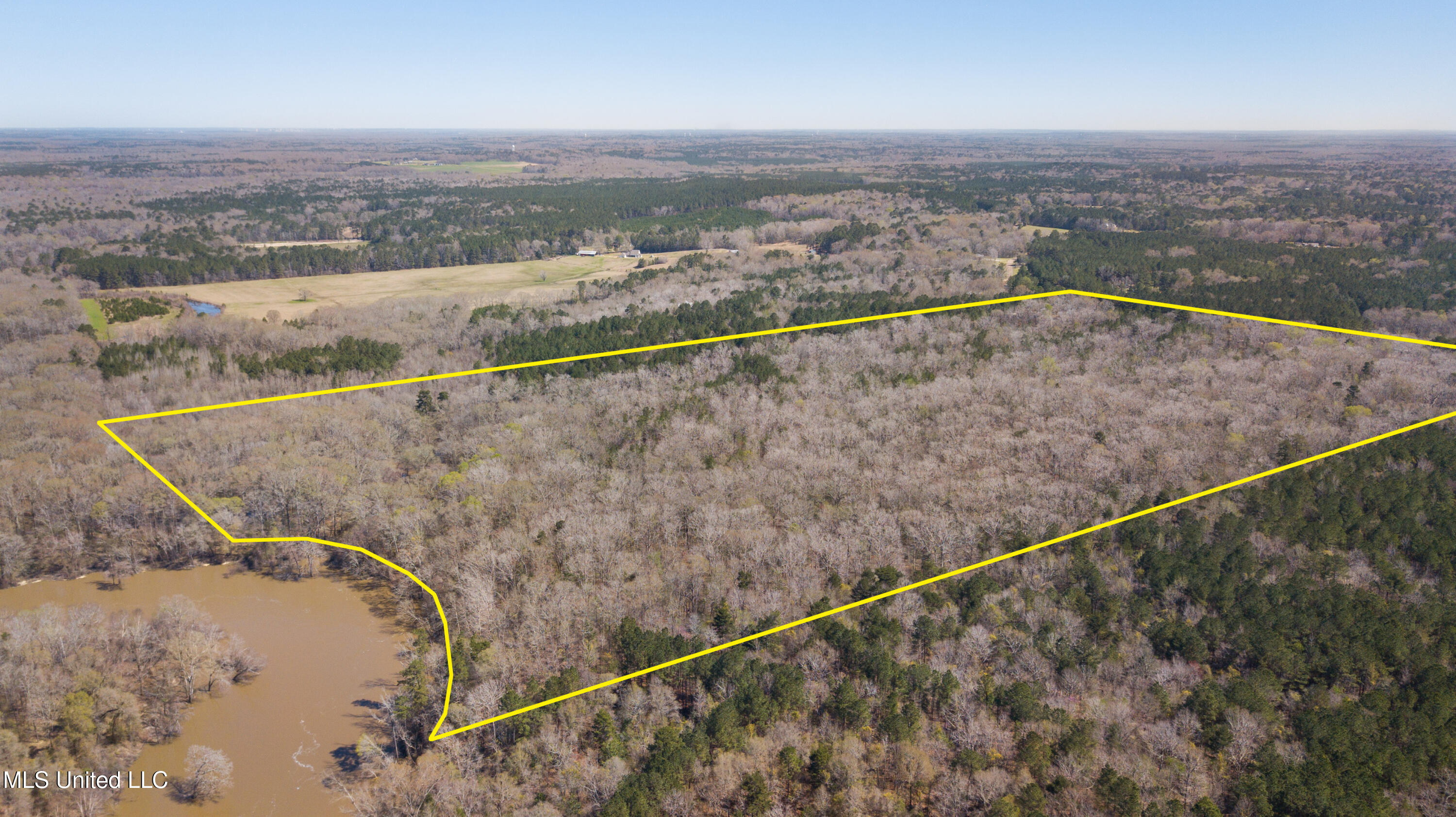 481 Ward Road Property Photo 18
