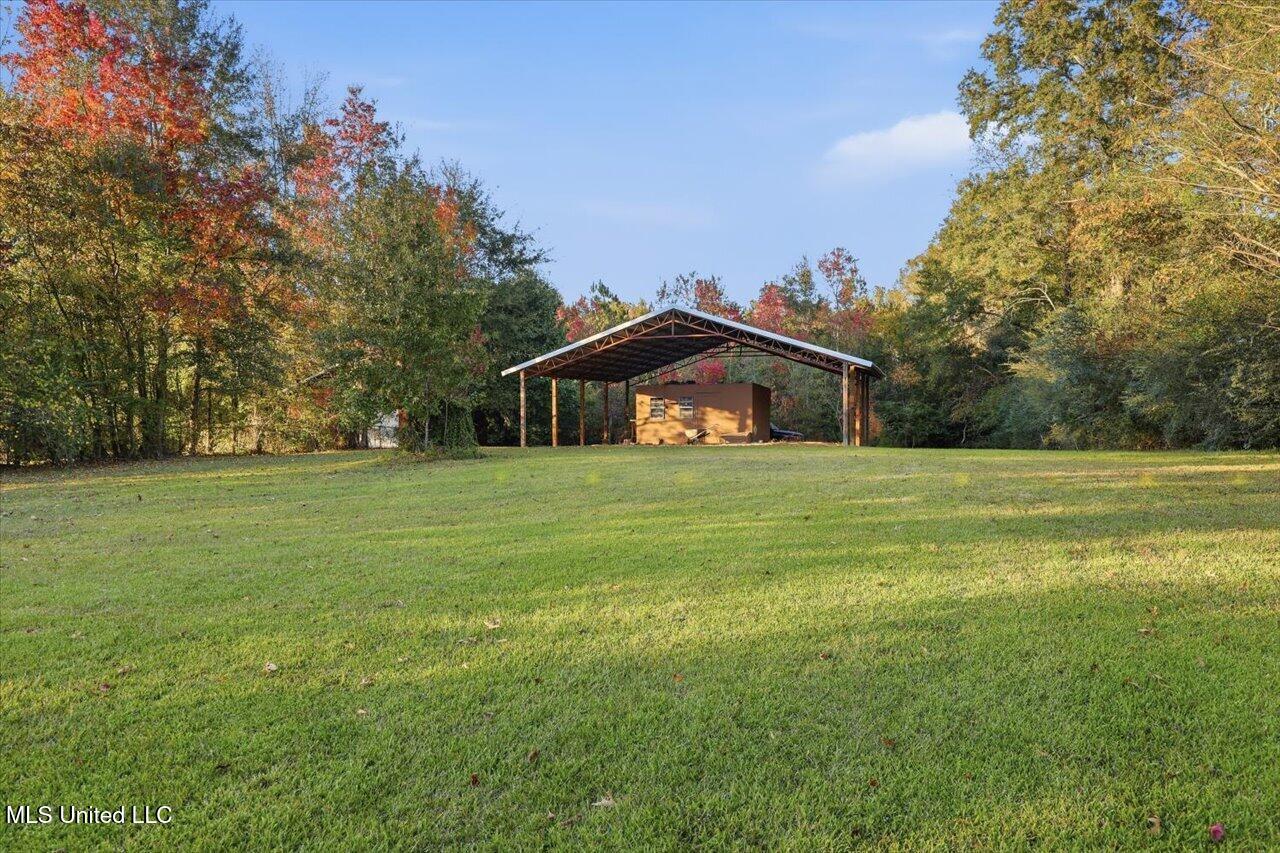 2532 Ms Hwy 468 Property Photo 7