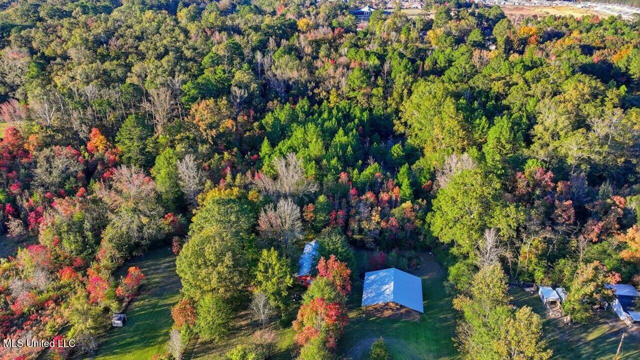 2532 Ms Hwy 468 Property Photo 13