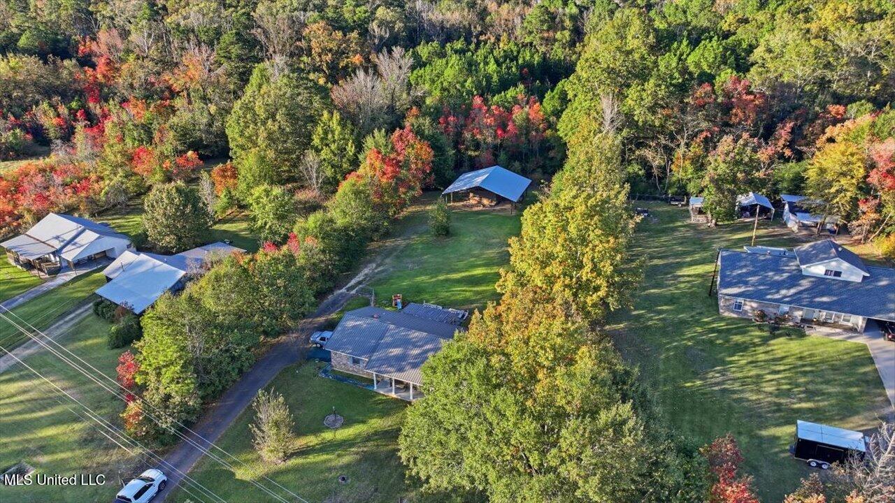 2532 Ms Hwy 468 Property Photo 15