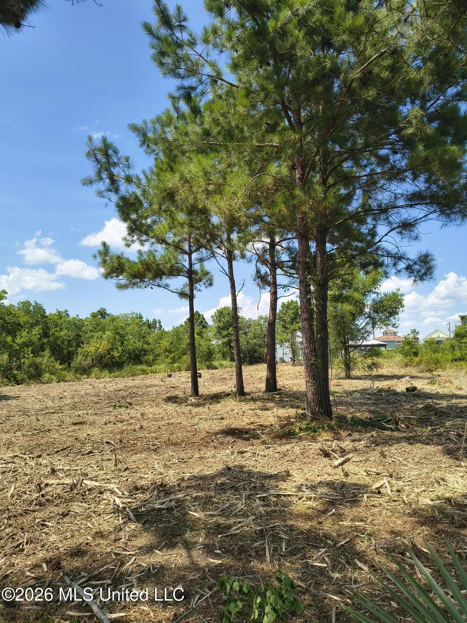 Nhn Bayou View Drive Property Photo 4