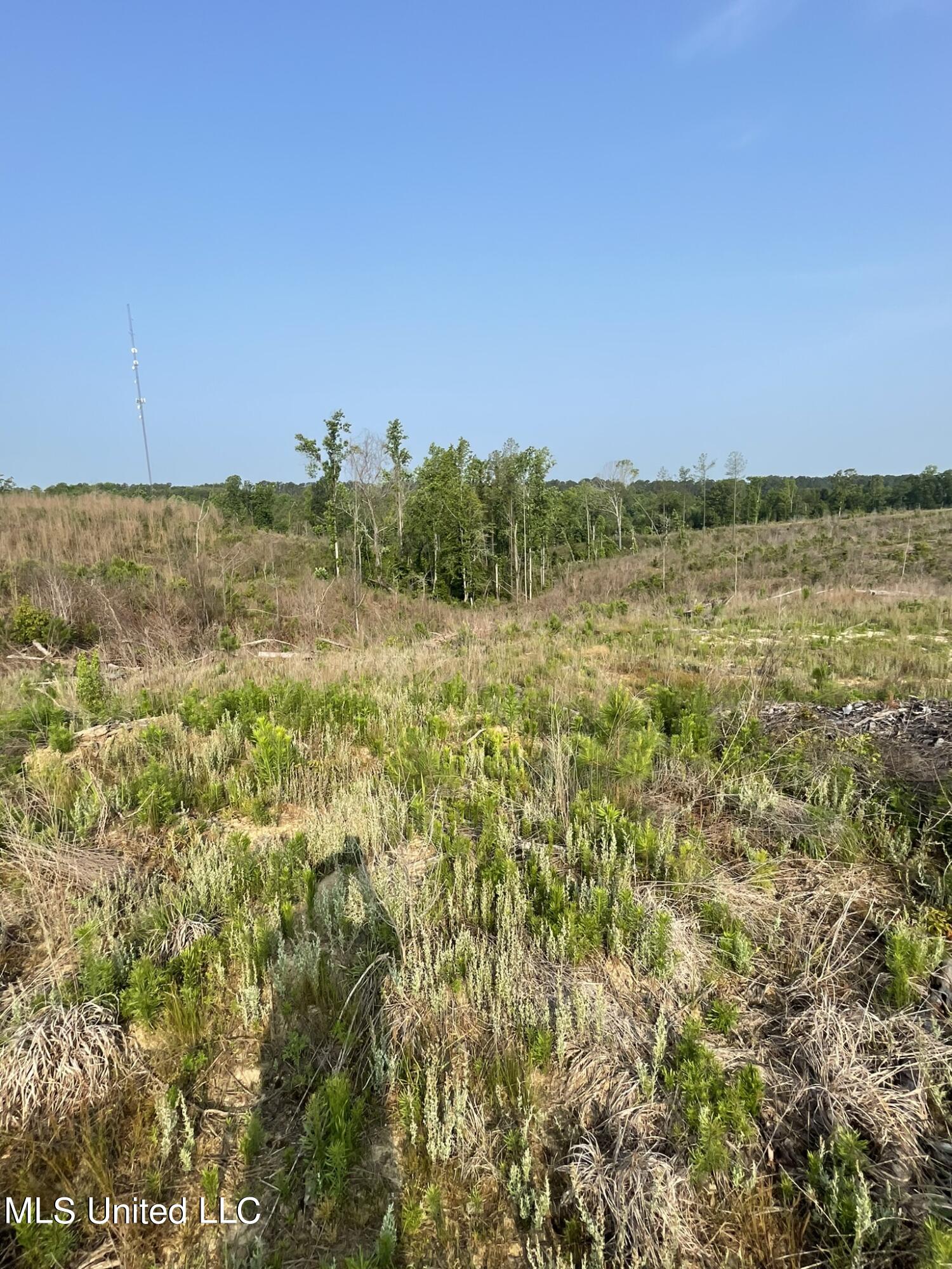 Co Rd 143 Property Photo 10