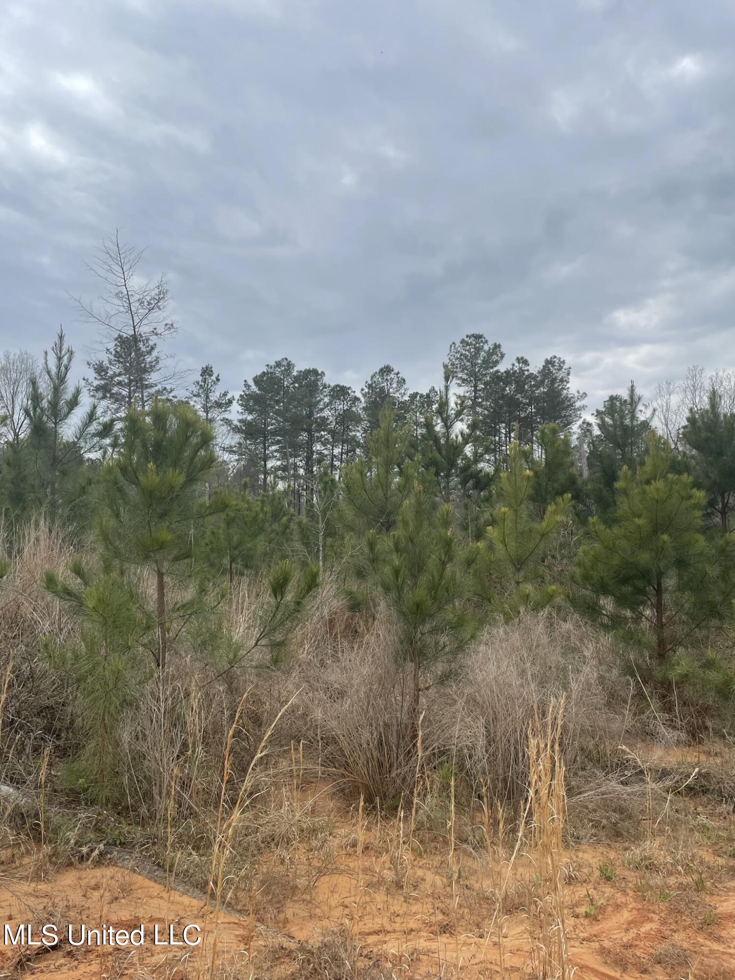 Co Rd 419 Property Photo 1