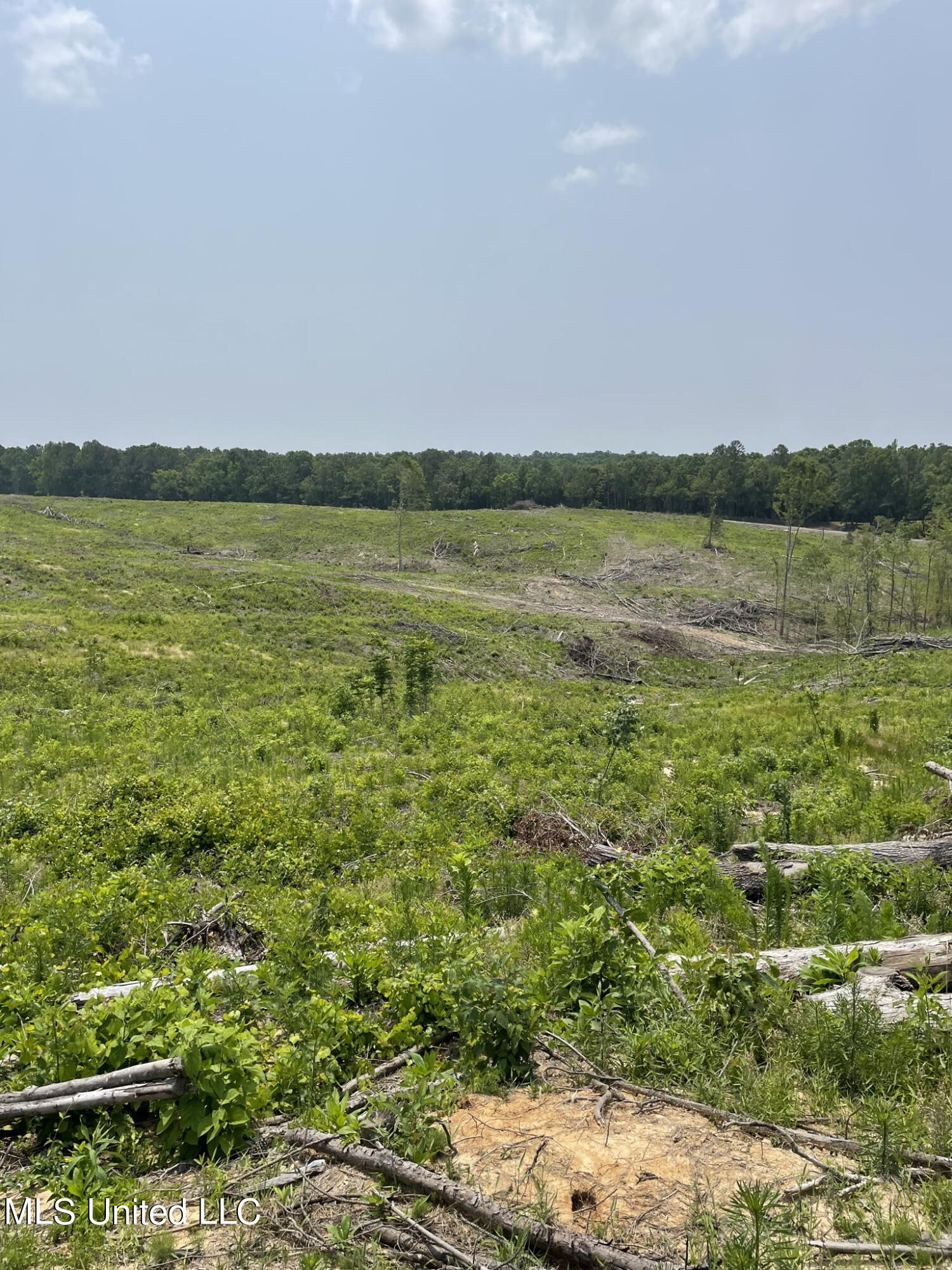 Hendrix/pine Grove Road Property Photo 1