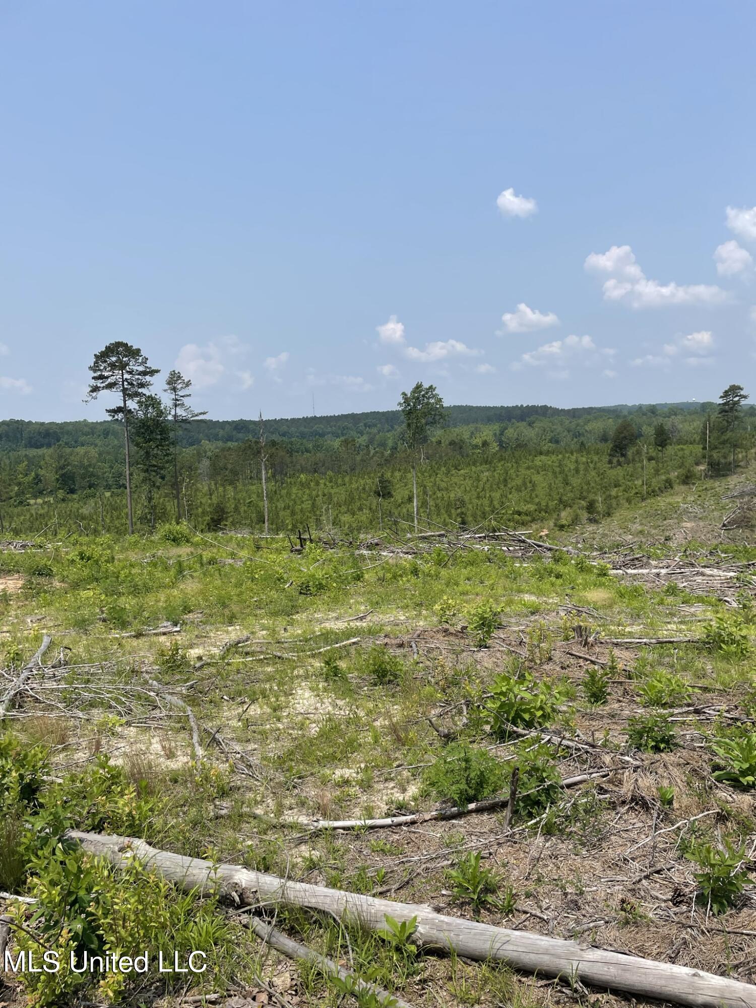 Hendrix/pine Grove Road Property Photo 5