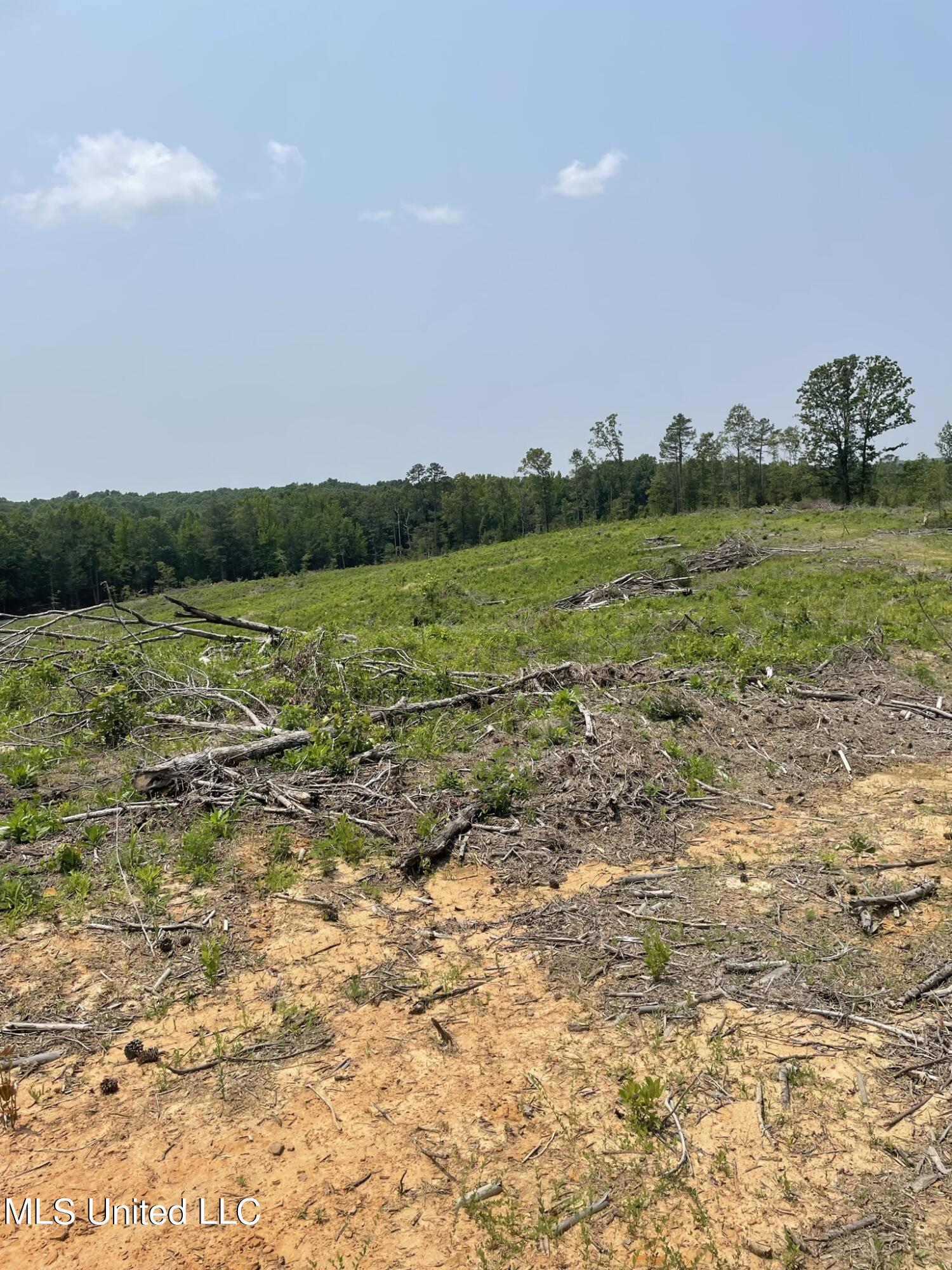 Hendrix/pine Grove Road Property Photo 7