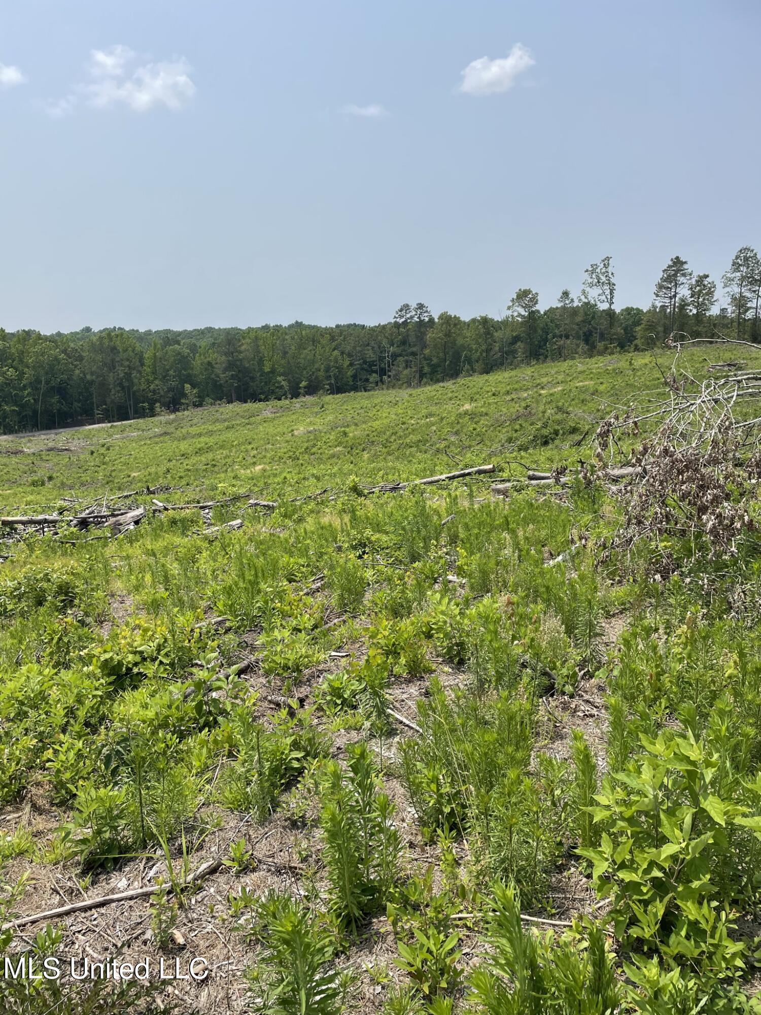Hendrix/pine Grove Road Property Photo 8