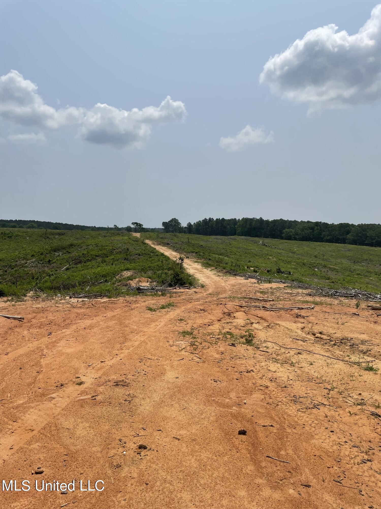 Hendrix/pine Grove Road Property Photo 13