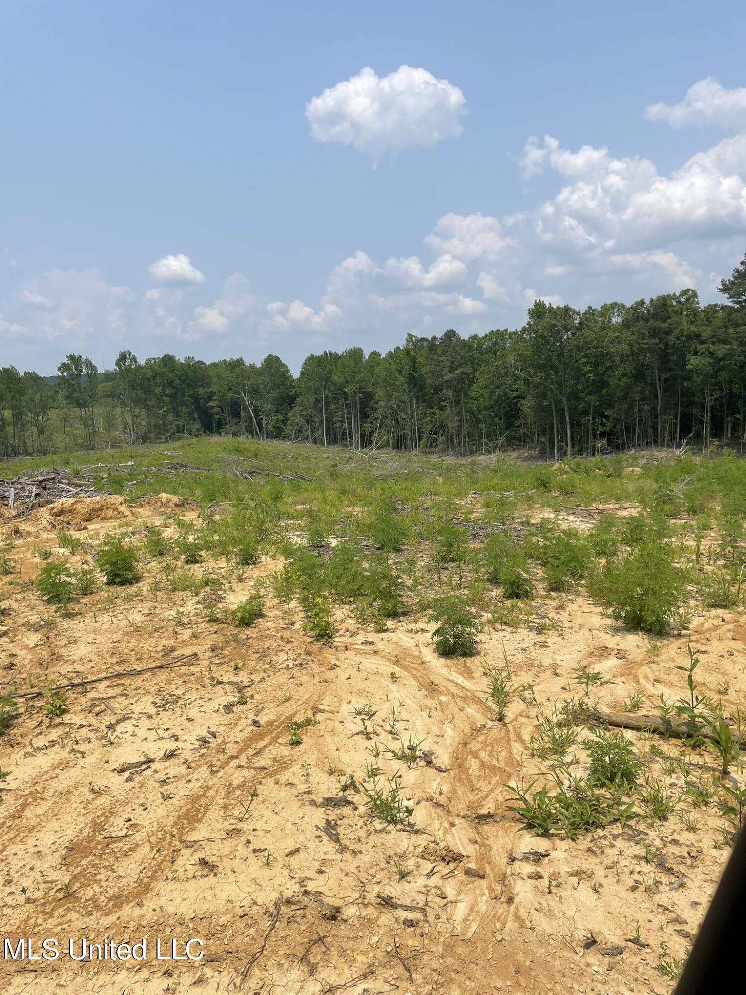 Hendrix/pine Grove Road Property Photo 14