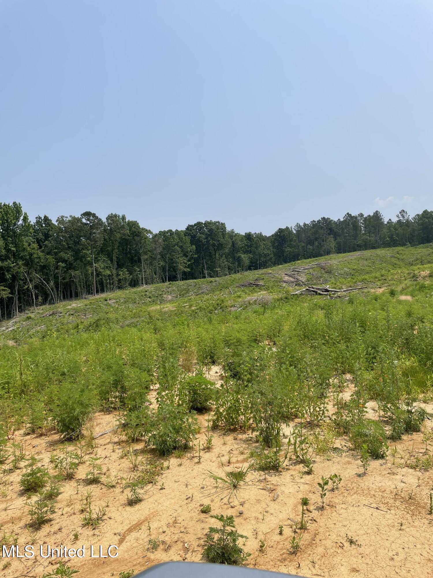 Hendrix/pine Grove Road Property Photo 15
