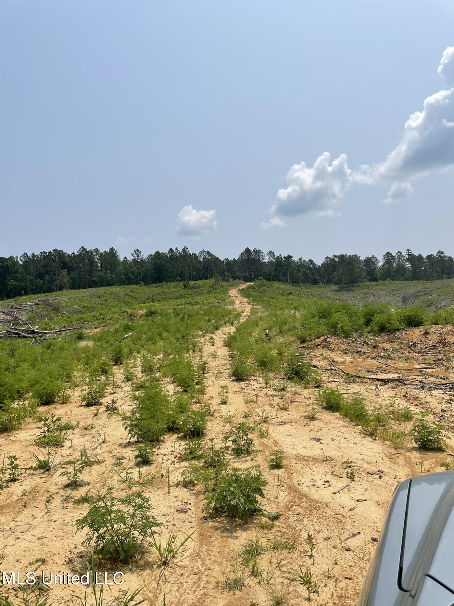Hendrix/pine Grove Road Property Photo 16