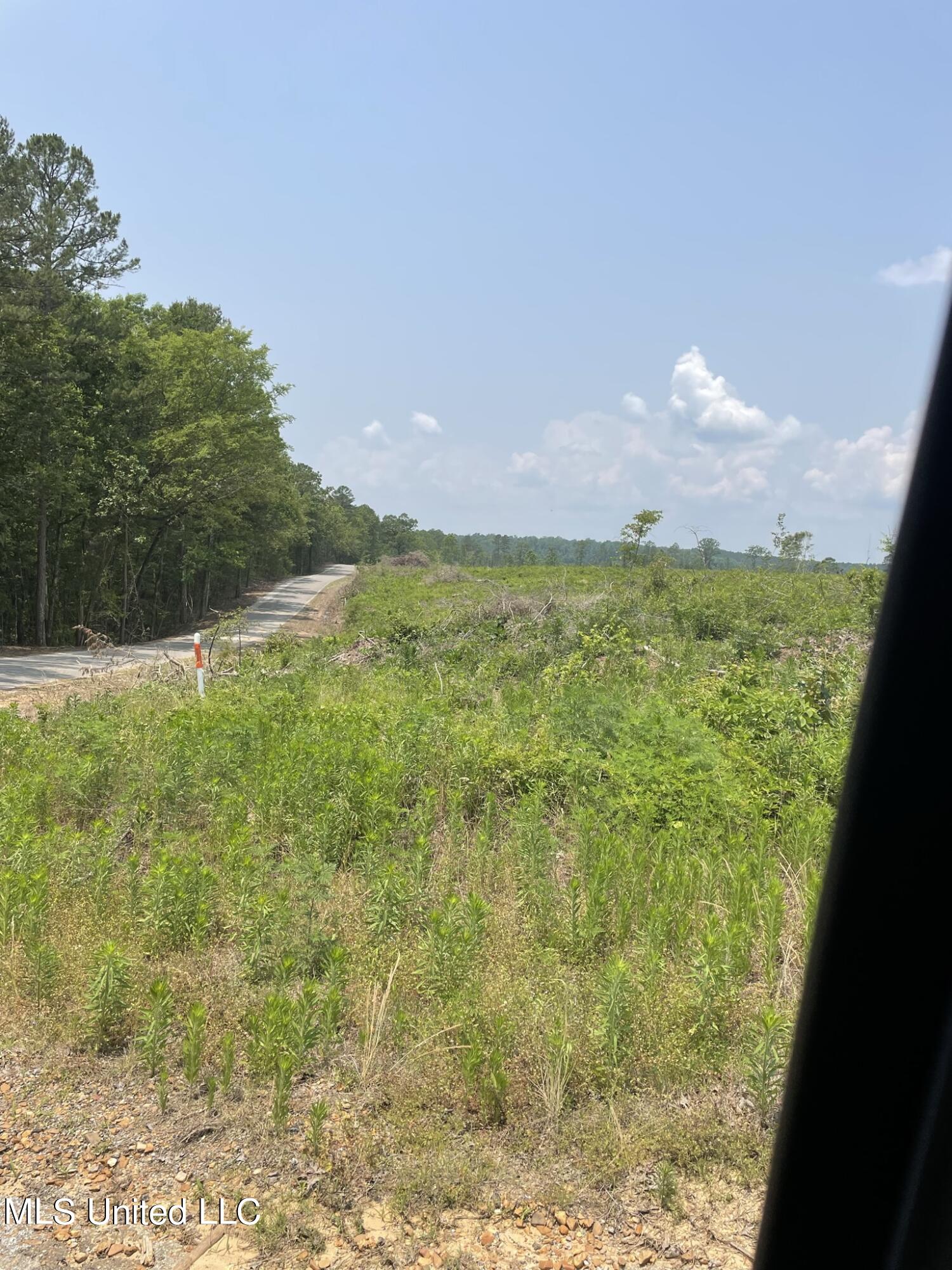 Hendrix/pine Grove Road Property Photo 17