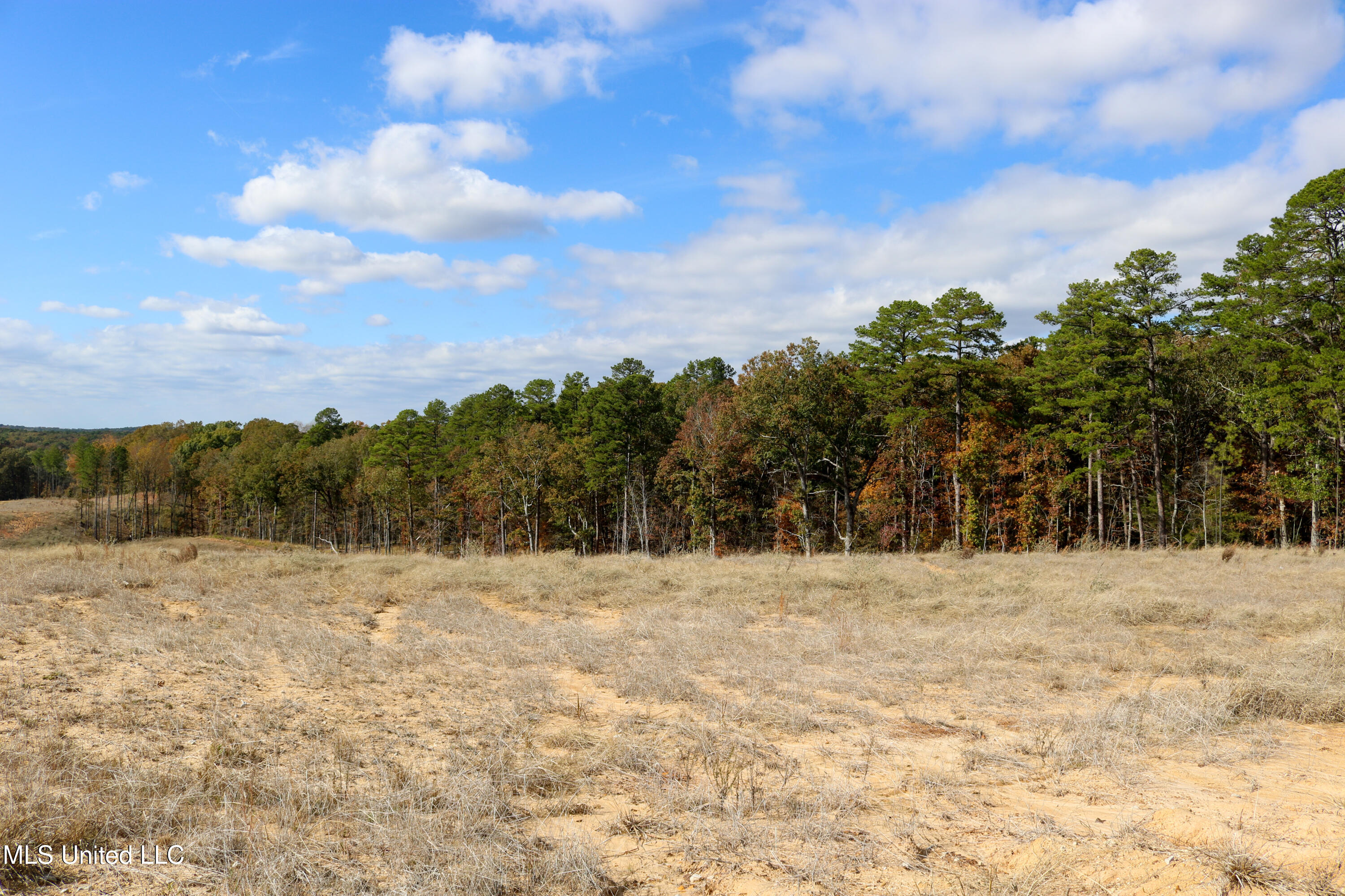 Tract 1 Hugh White State Park Road Property Photo 2