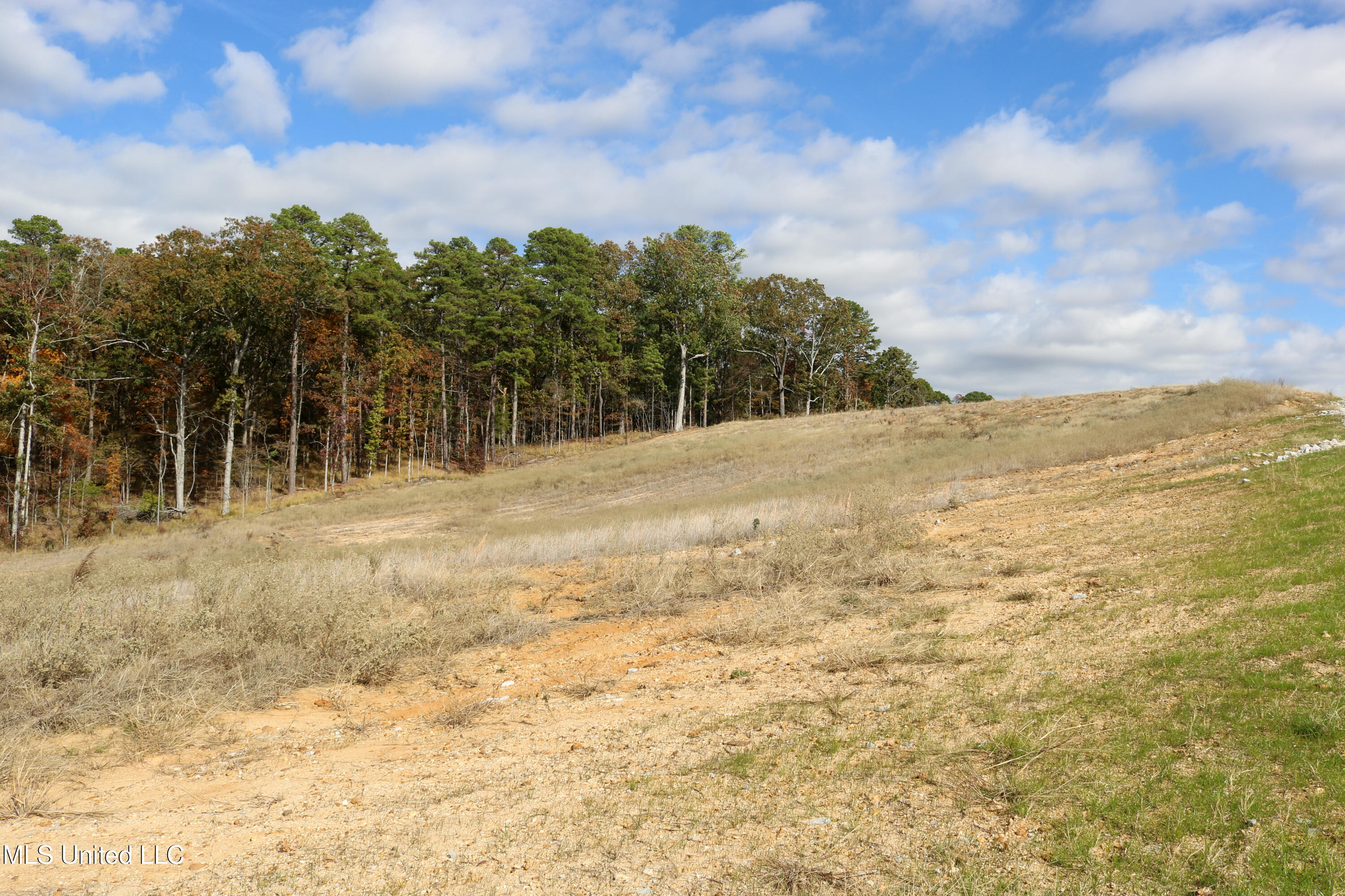 Tract 1 Hugh White State Park Road Property Photo 3