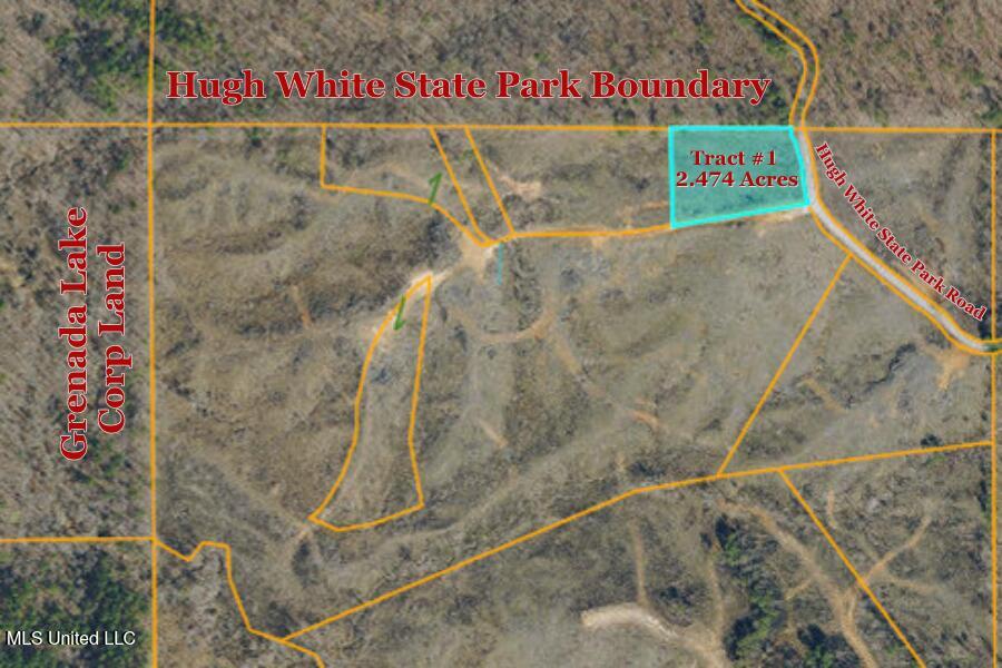 Tract 1 Hugh White State Park Road Property Photo 4