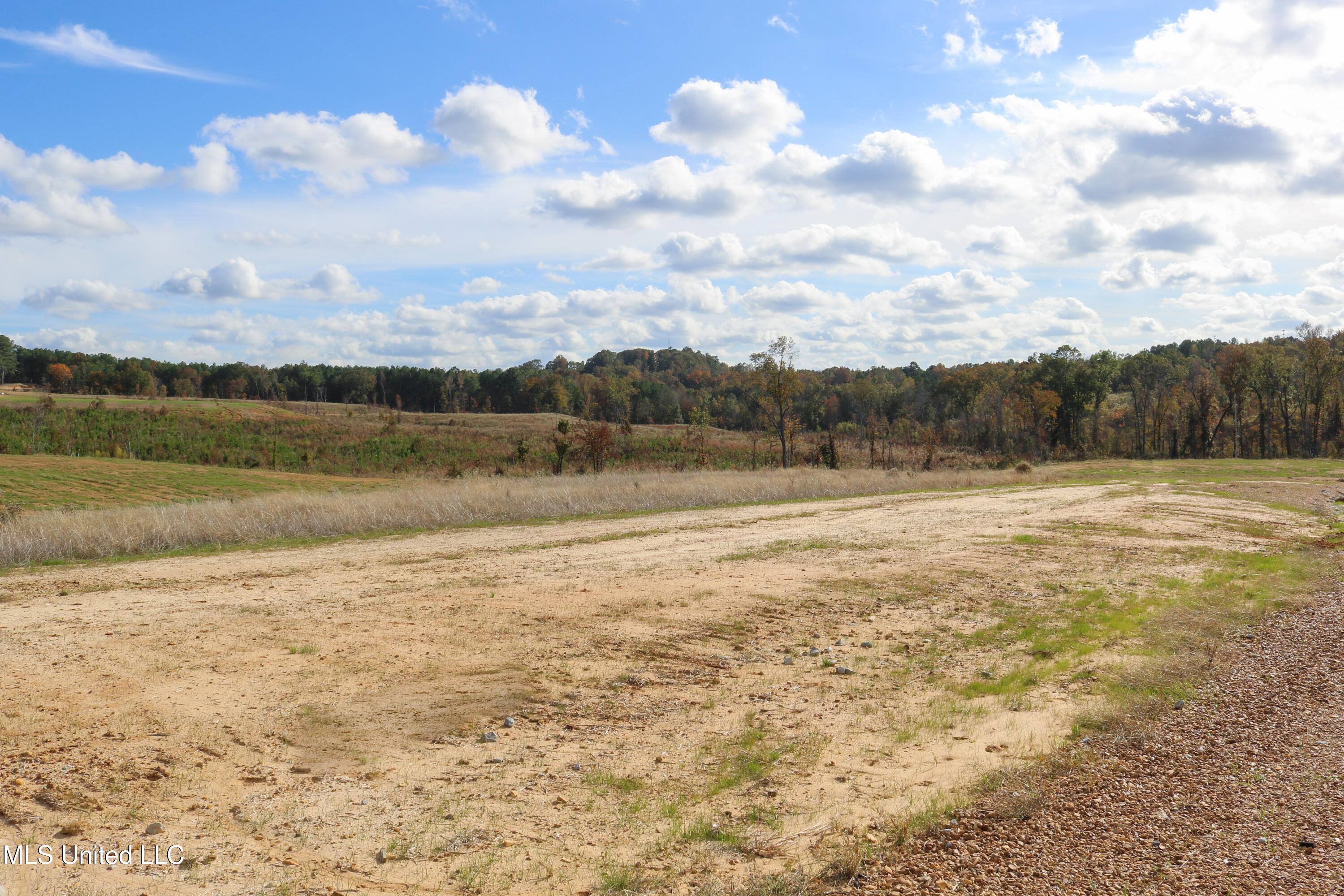 Tract 8 Hugh White State Park Road Property Photo 1