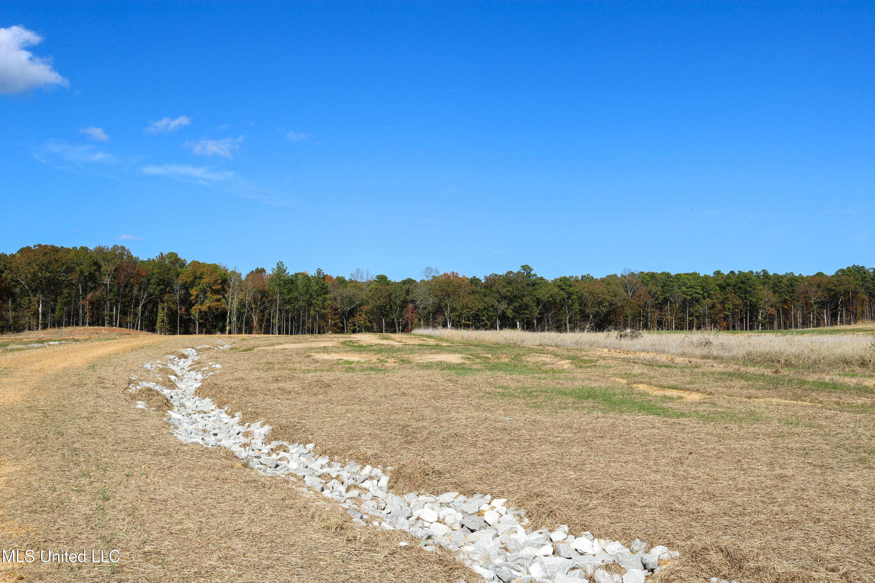 Tract 8 Hugh White State Park Road Property Photo 2